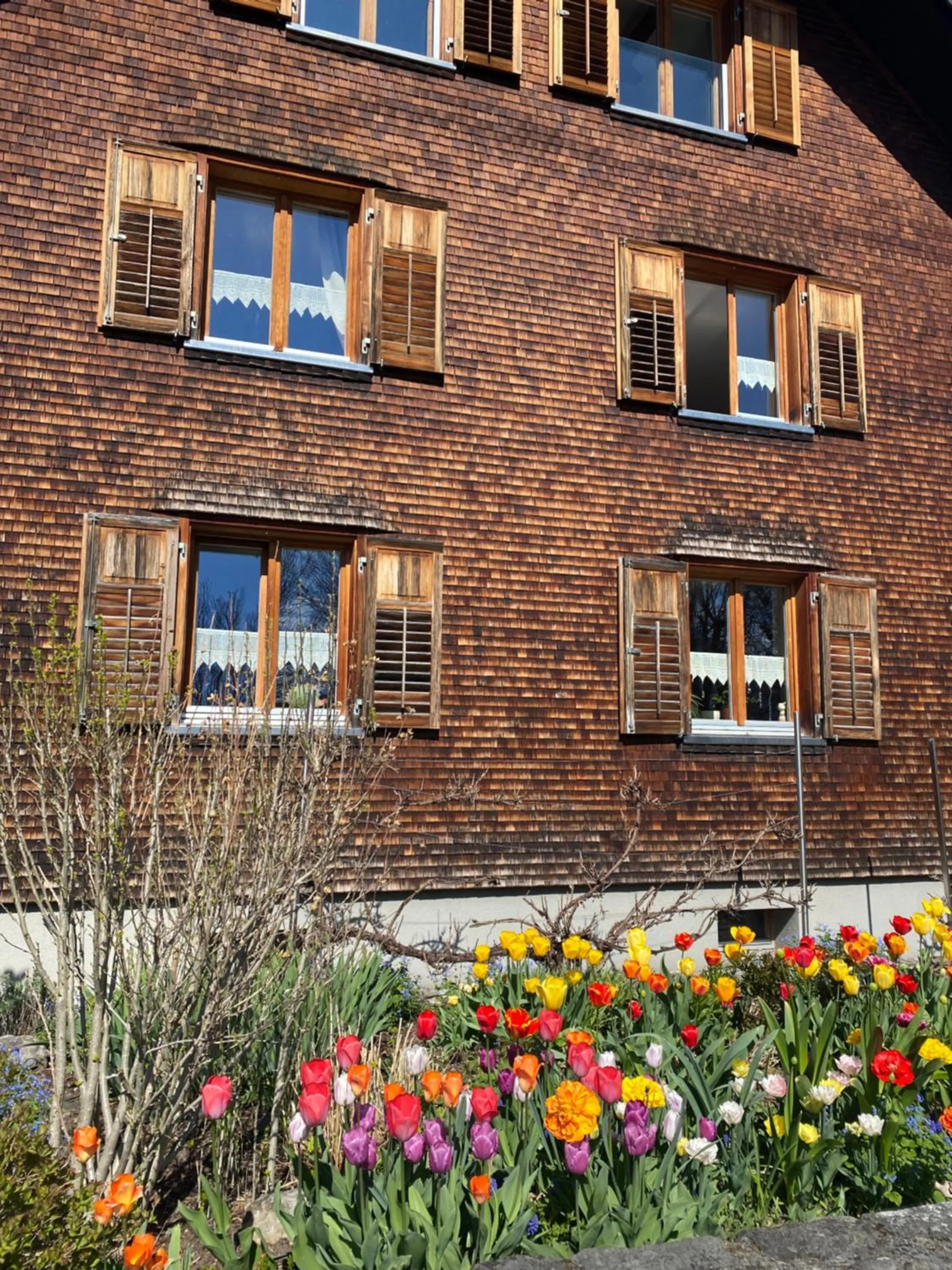 Property building in mama käthe - Apartments
