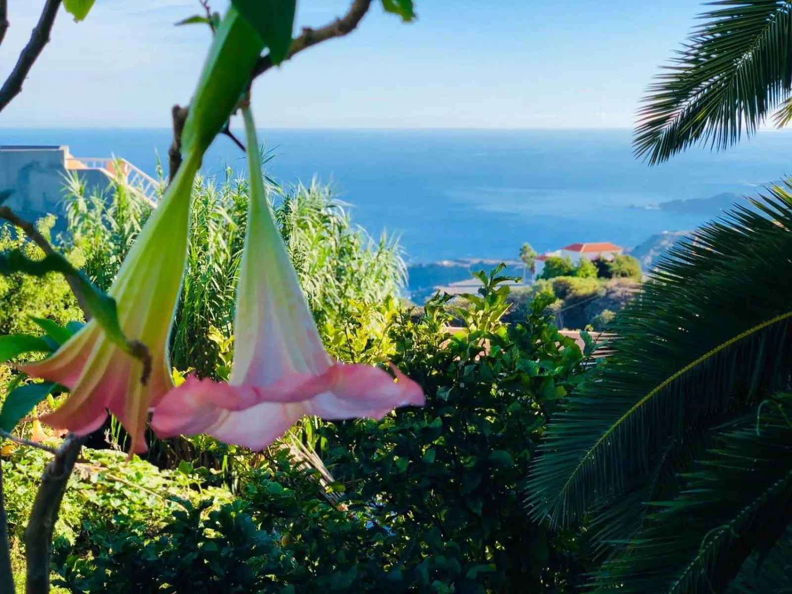 Casa Ida