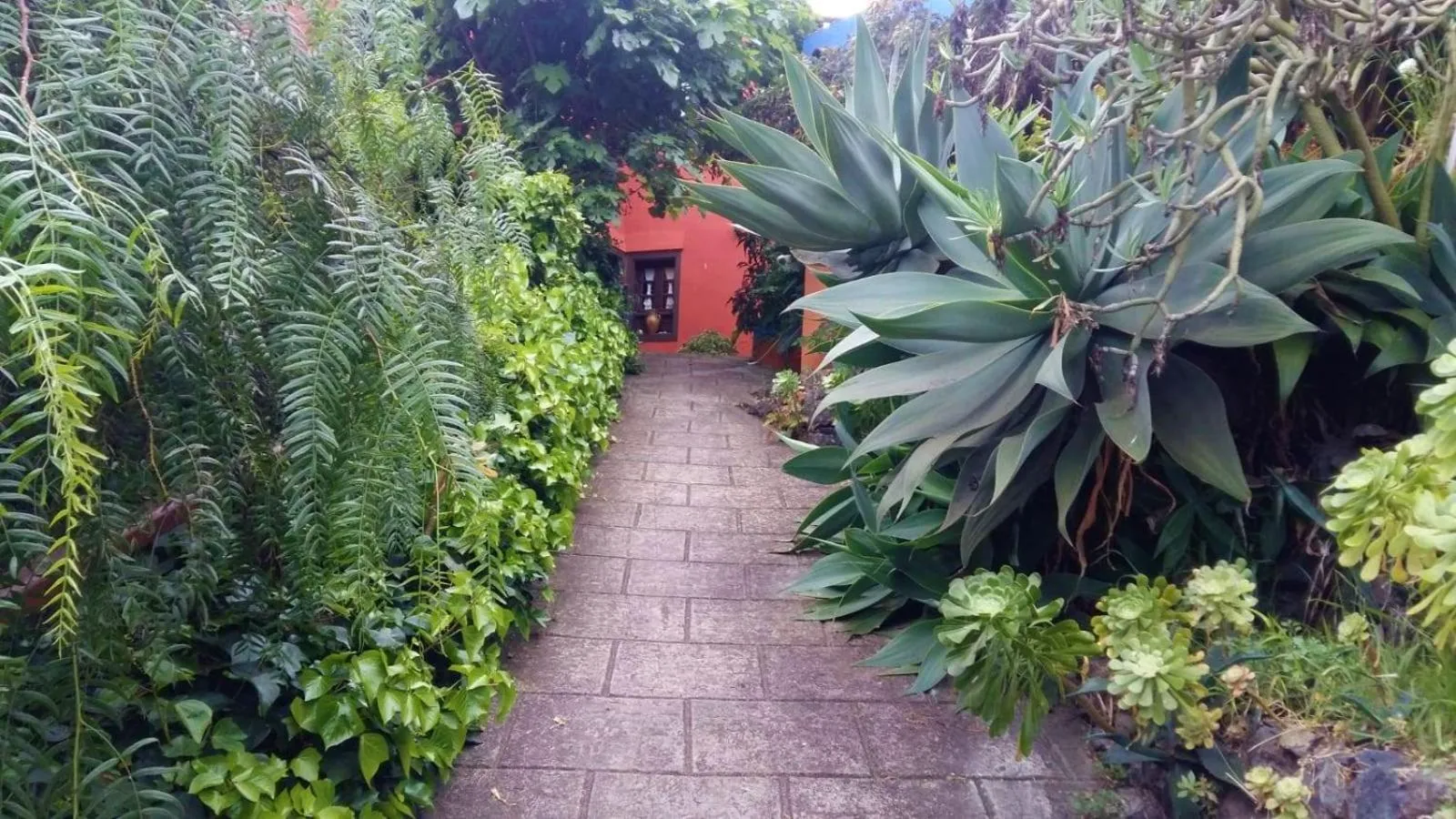 Casa Ida
