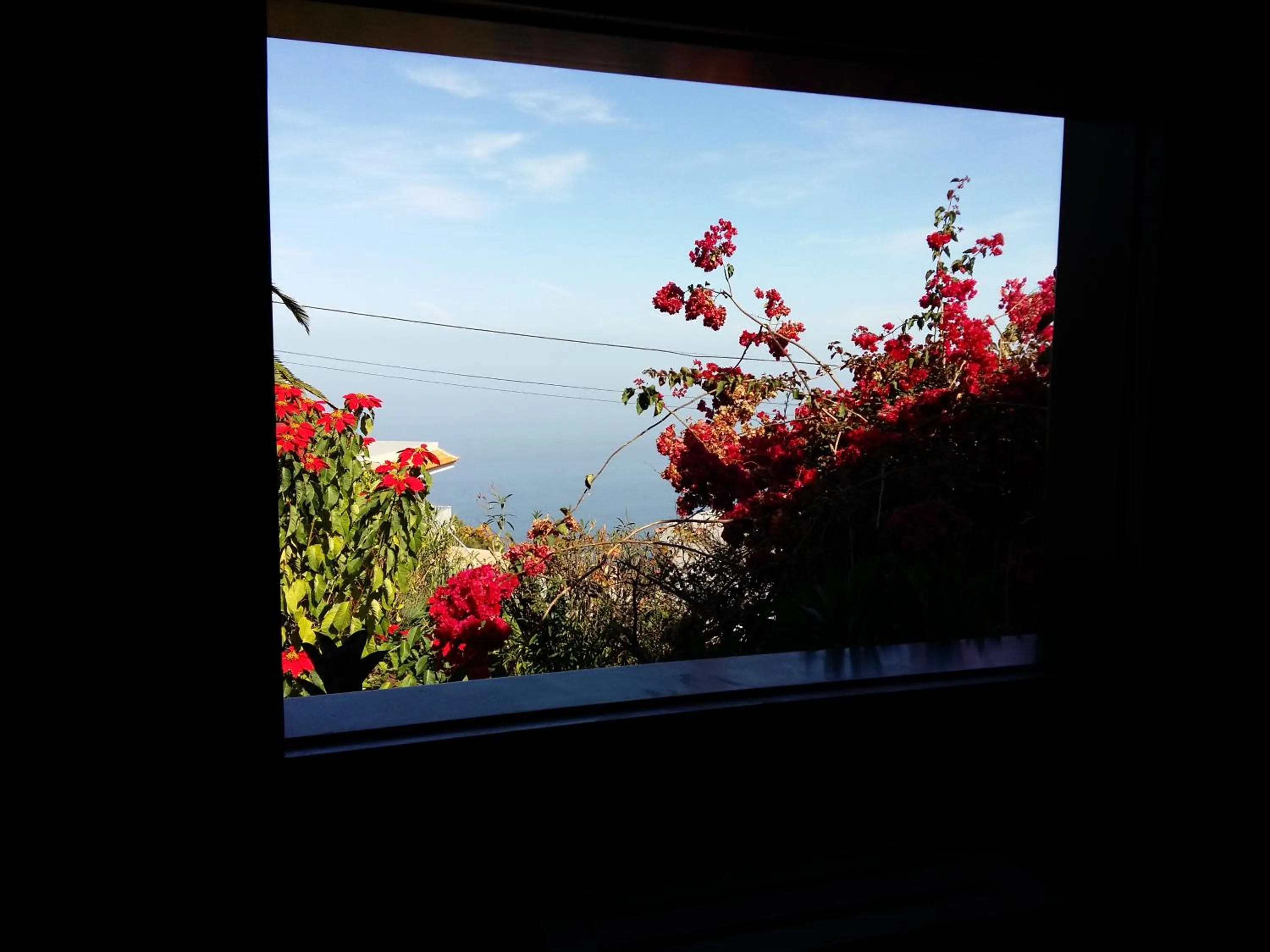Day in Casa Ida