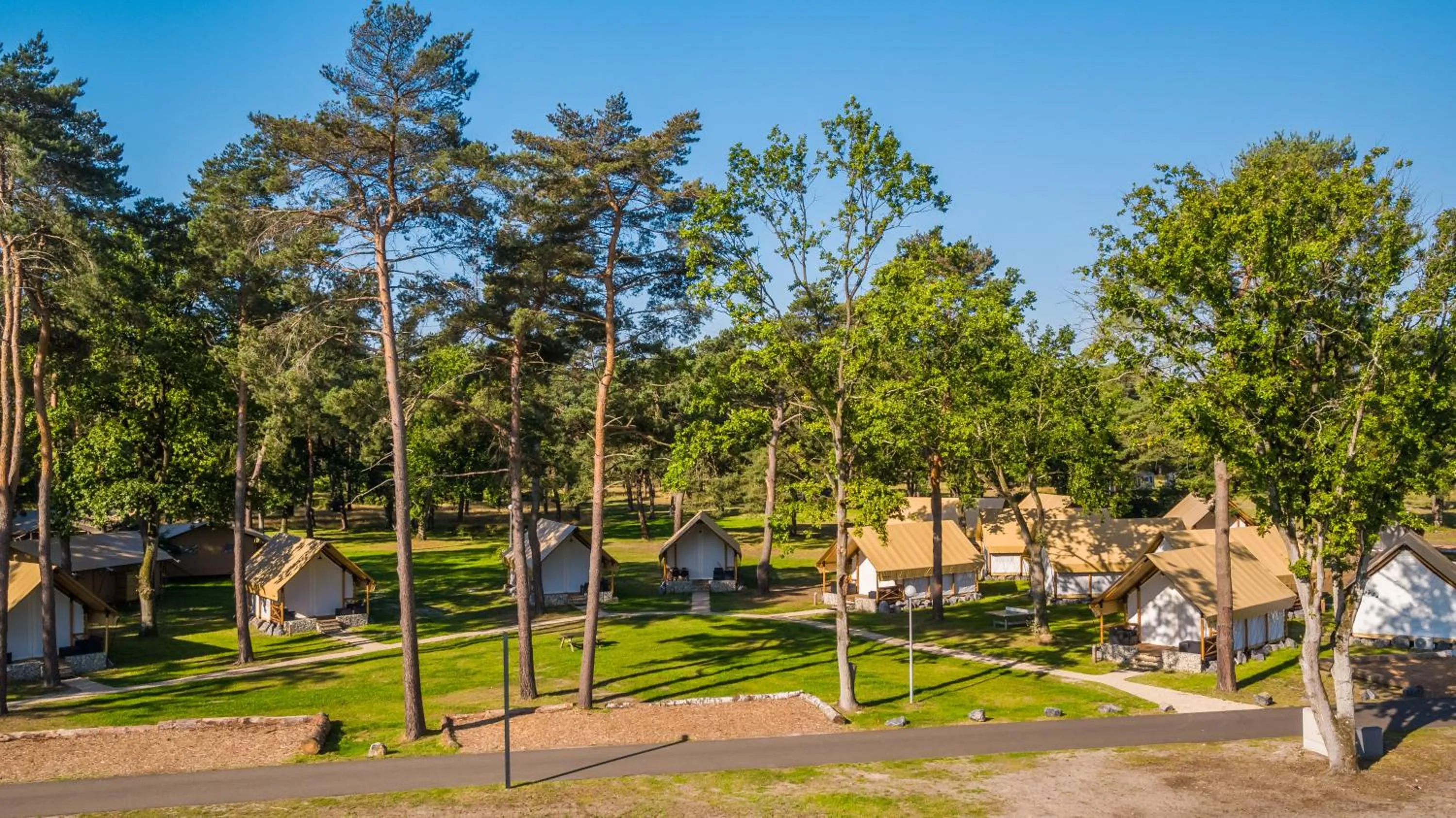 View (from property/room) in EuroParcs Zilverstrand