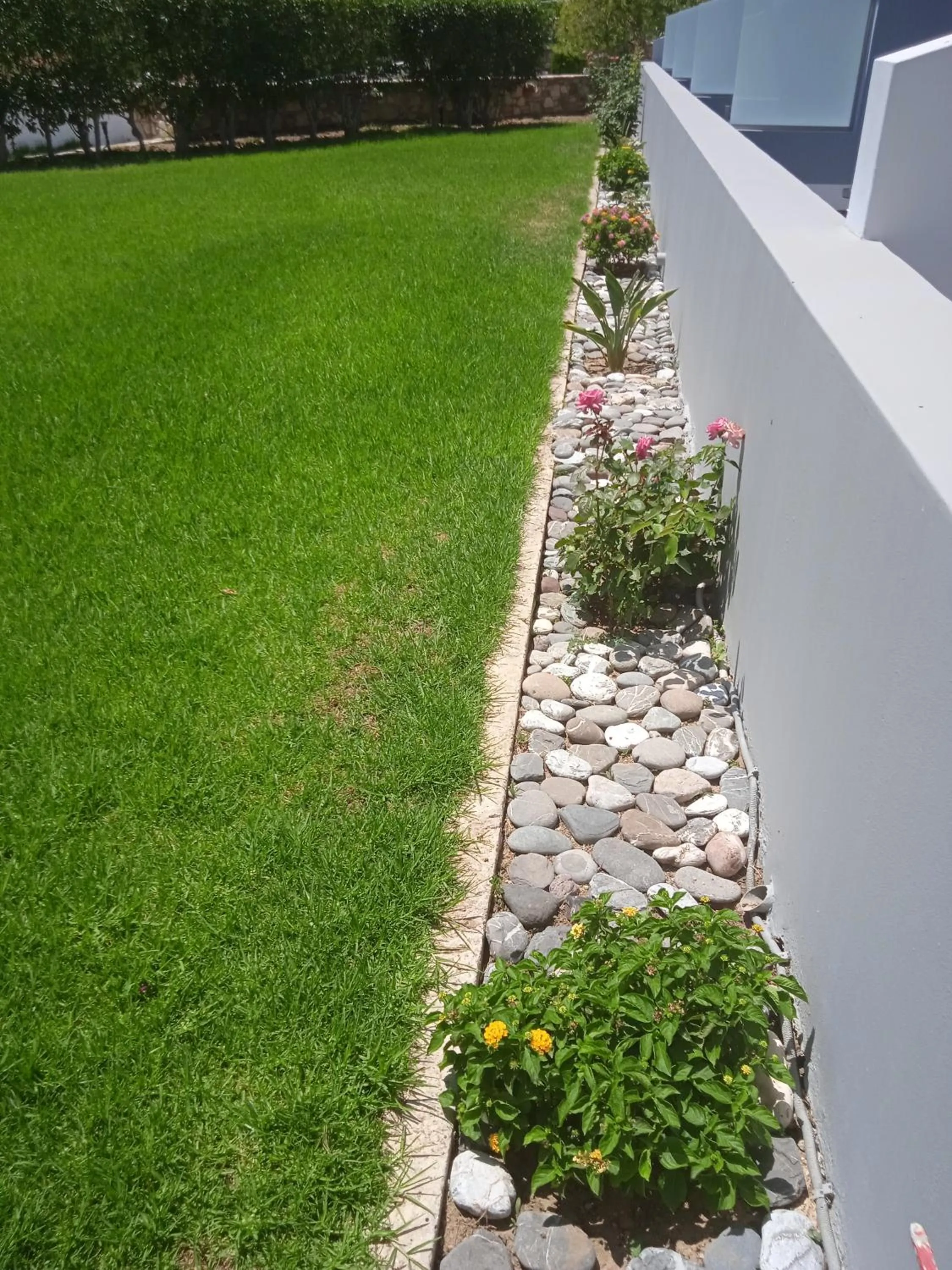 Garden in Gelli Apartments