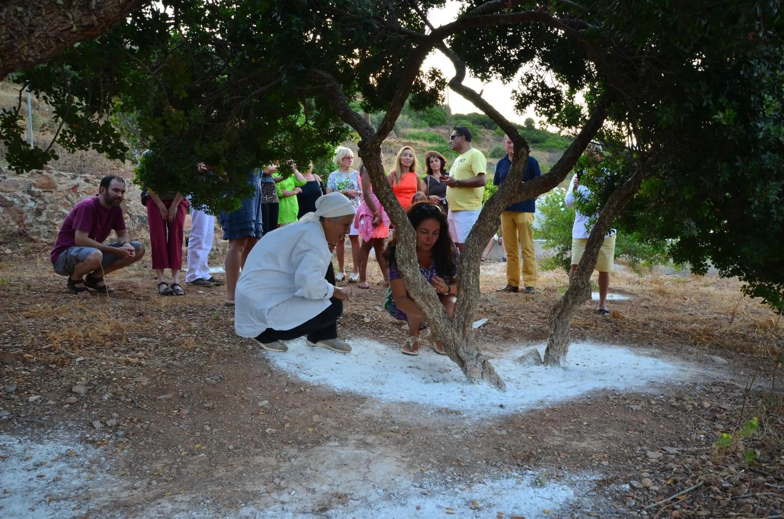 Natural landscape in Emporios Bay Hotel Chios