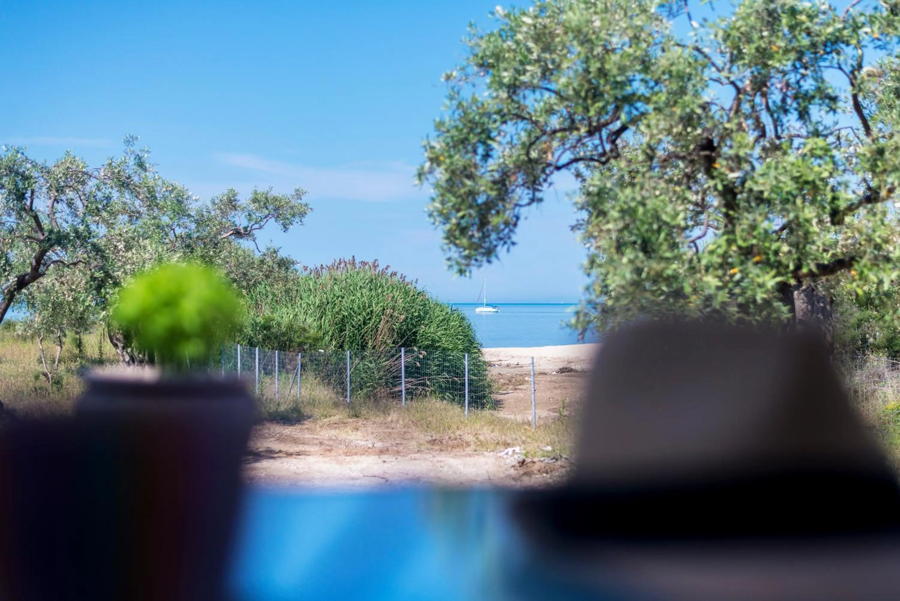 Natural landscape in Terra di Olive Thassos