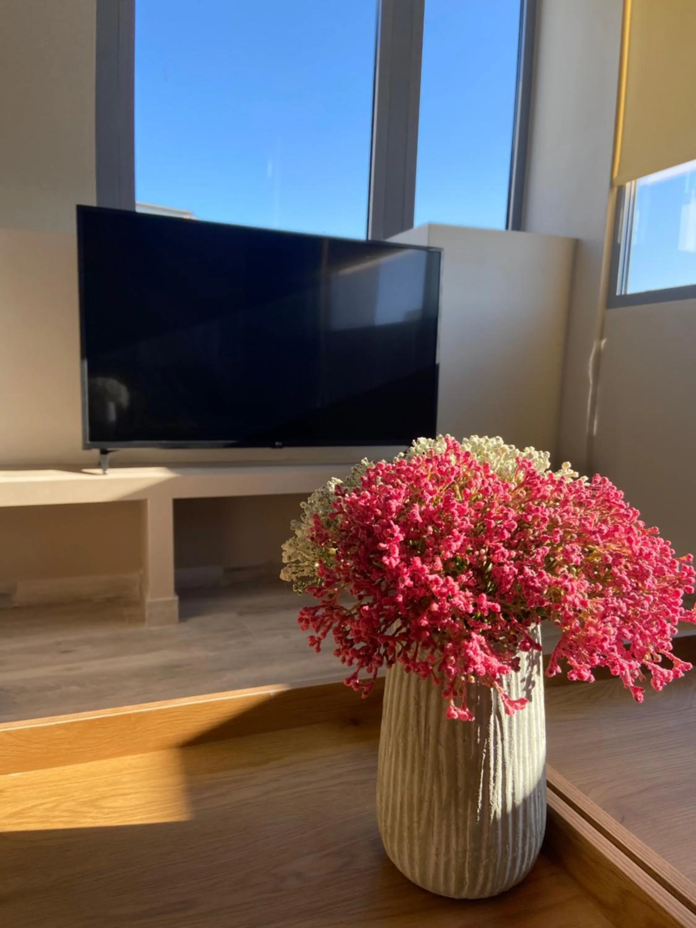 TV and multimedia in Connect Studios & Apartments
