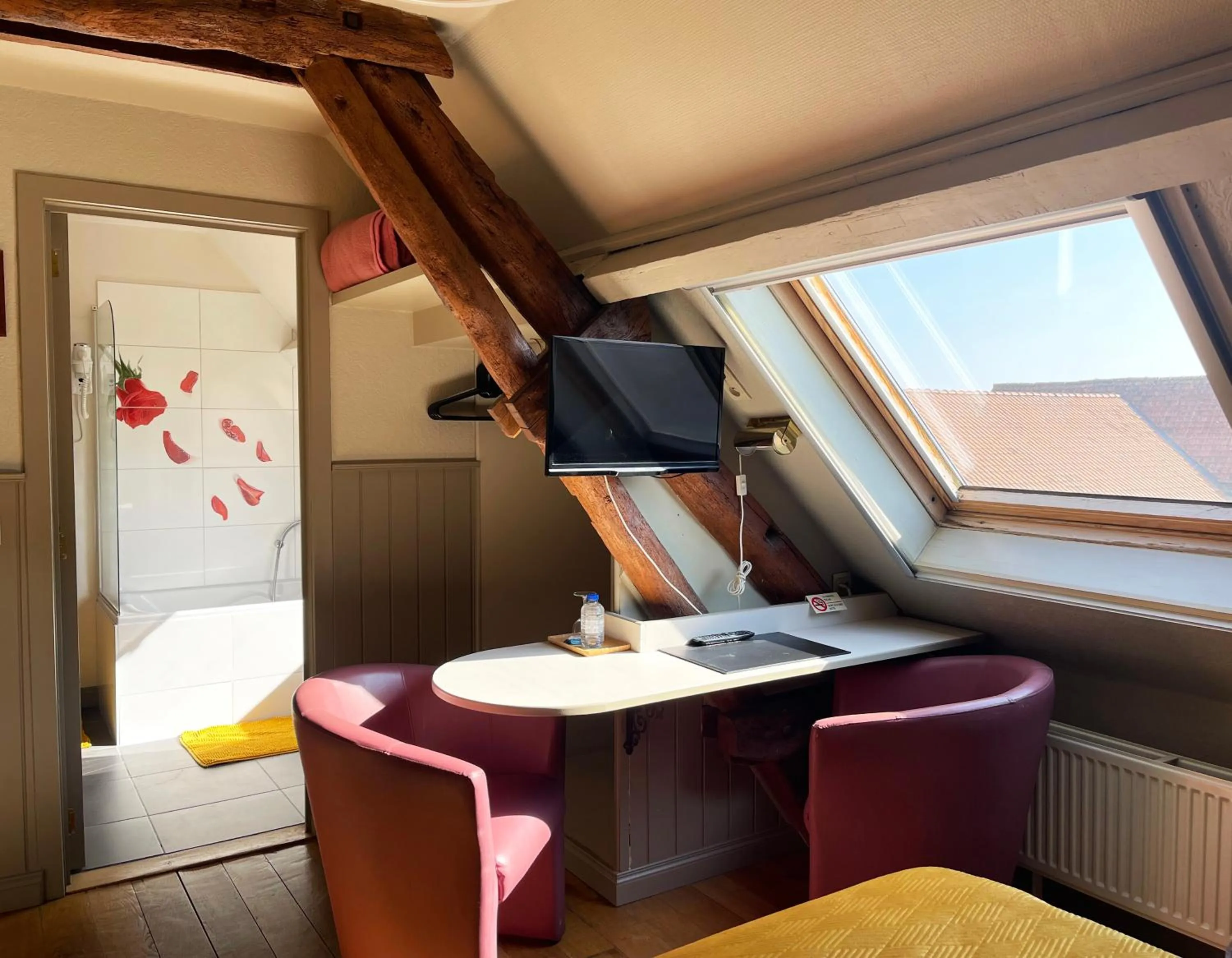 TV and multimedia in Hotel het Elsland