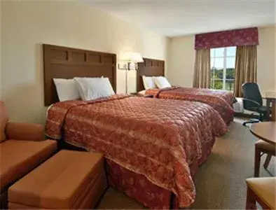 Bed in Super 8 by Wyndham Bowling Green North Bed in Super 8 by Wyndham Bowling Green North