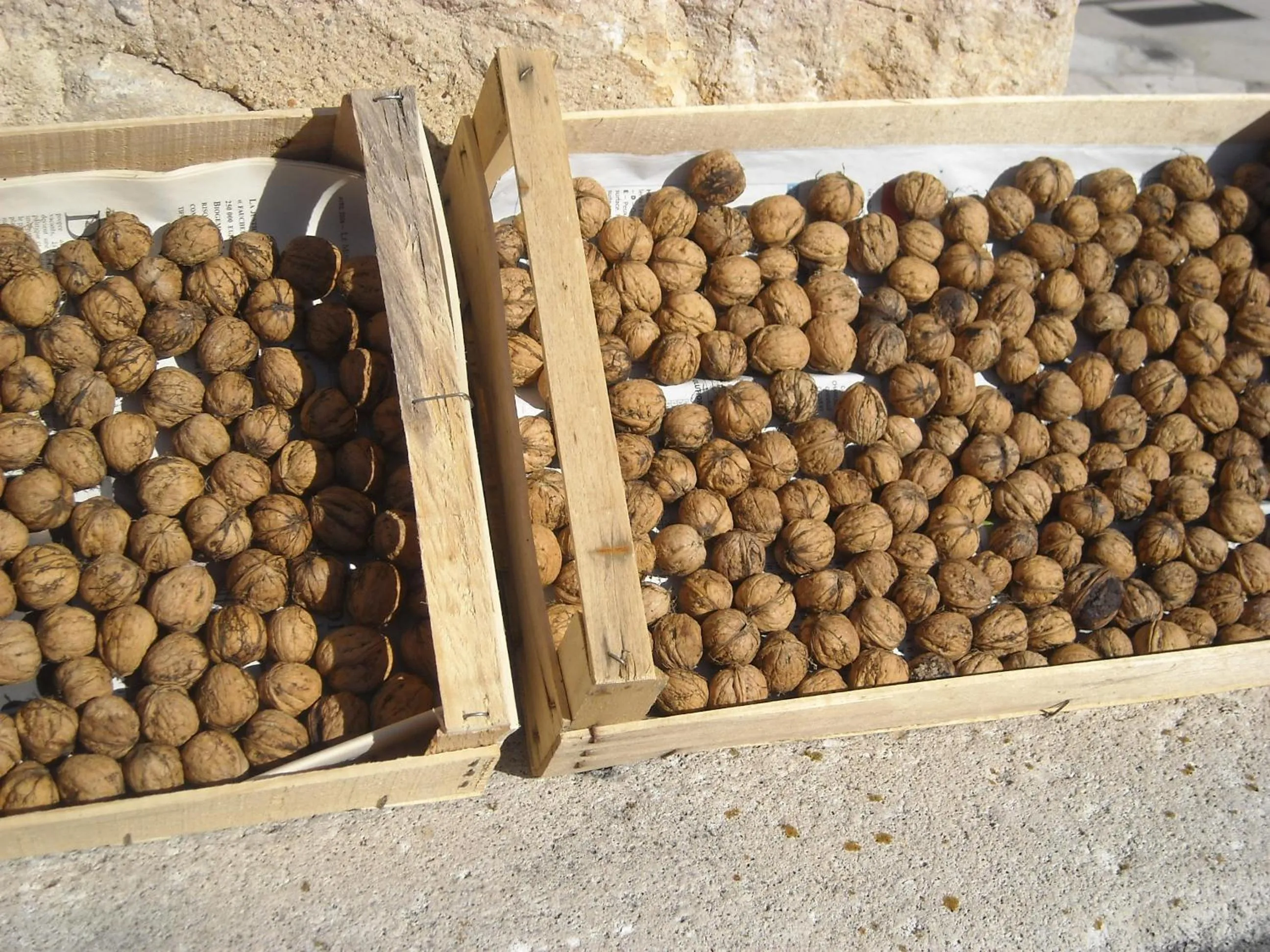 Autumn in Le Sareymond