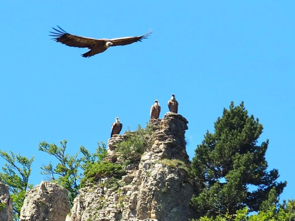 Natural landscape in Le Sareymond