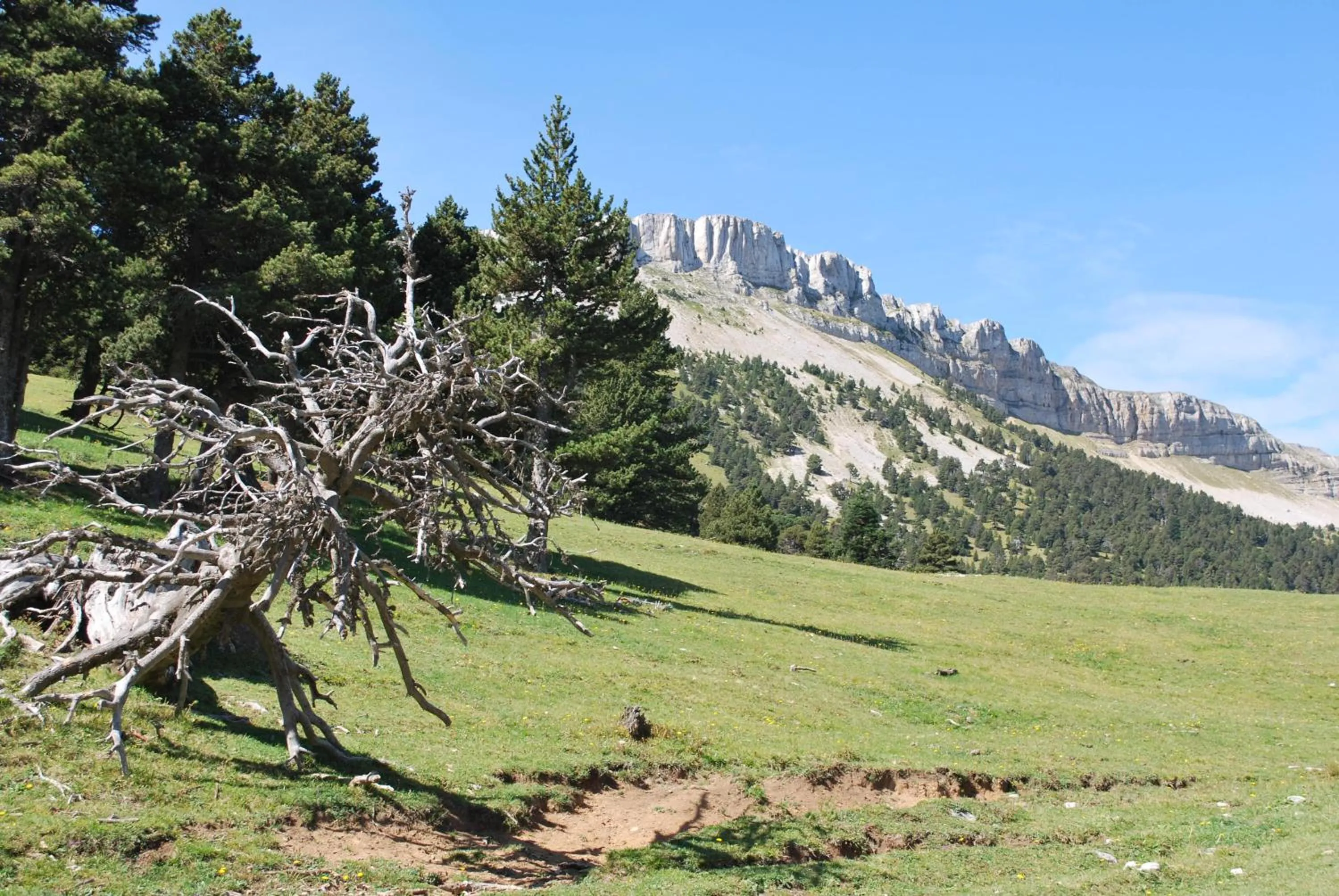 Hiking in Le Sareymond