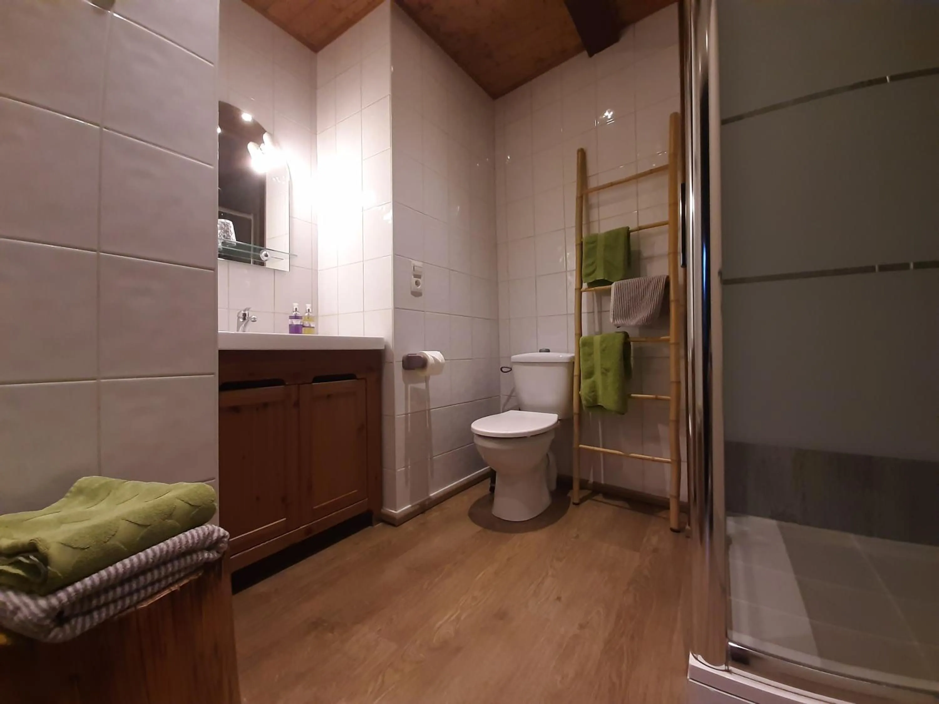 Bathroom in Le Sareymond