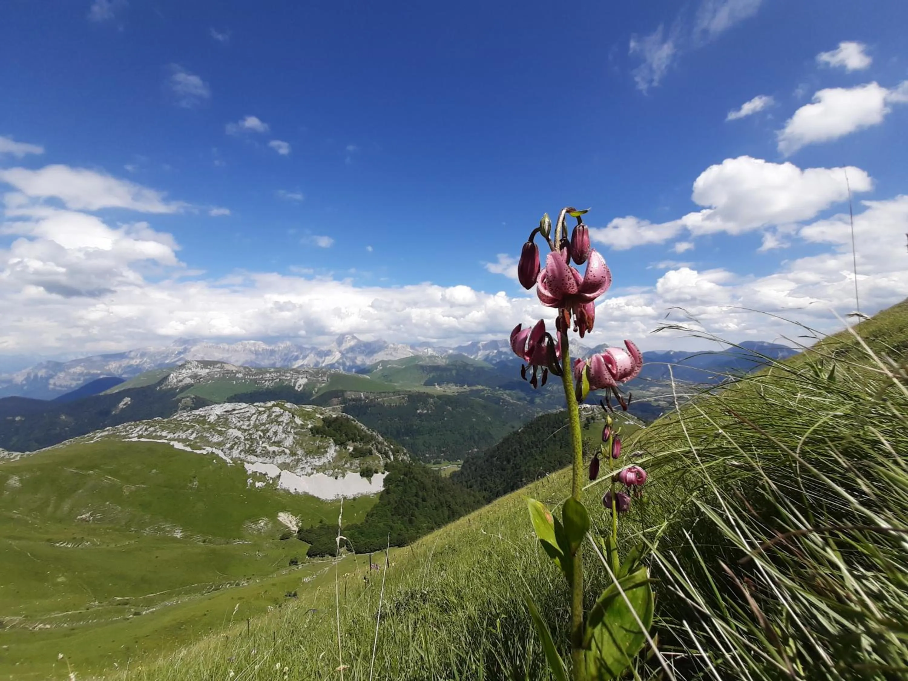 Nearby landmark in Le Sareymond