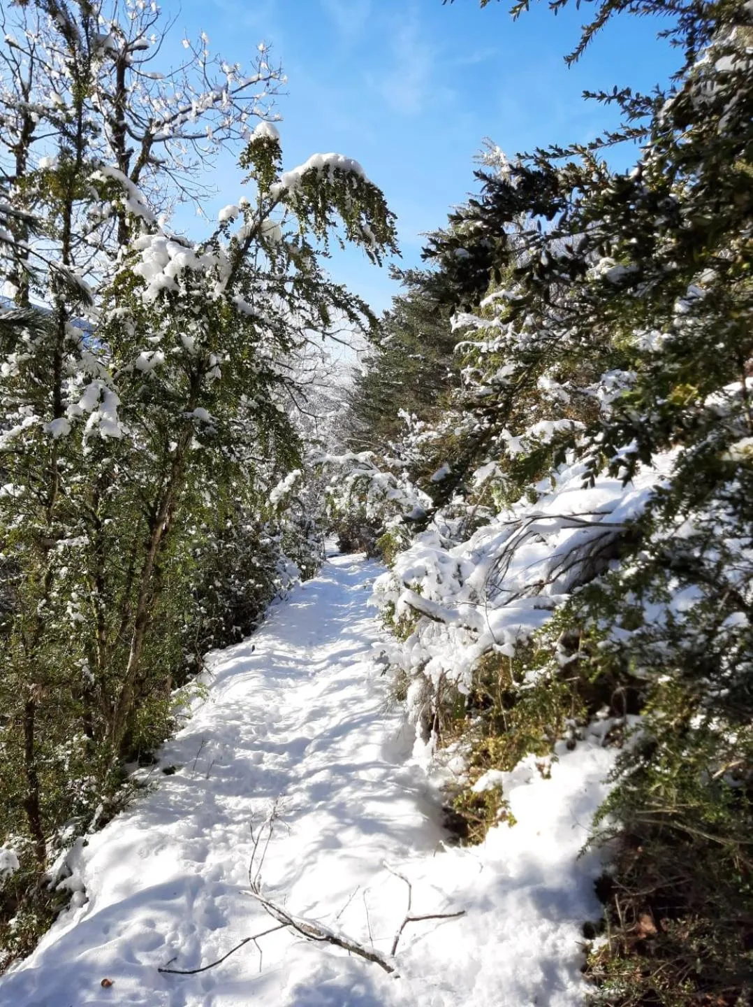 Hiking in Le Sareymond