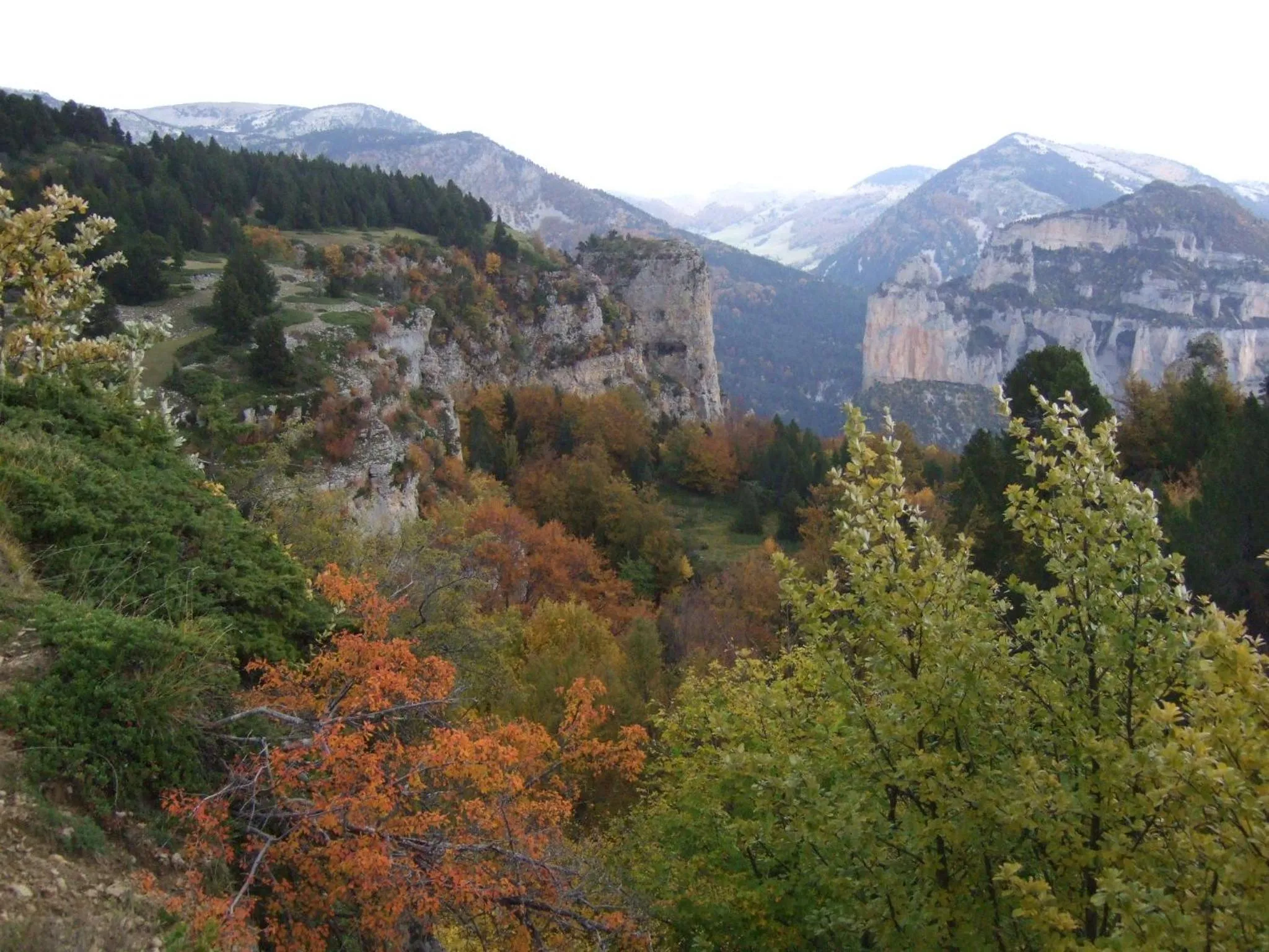 Natural landscape in Le Sareymond