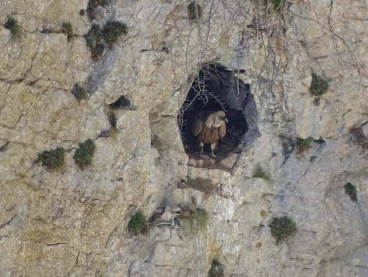 Nearby landmark in Le Sareymond