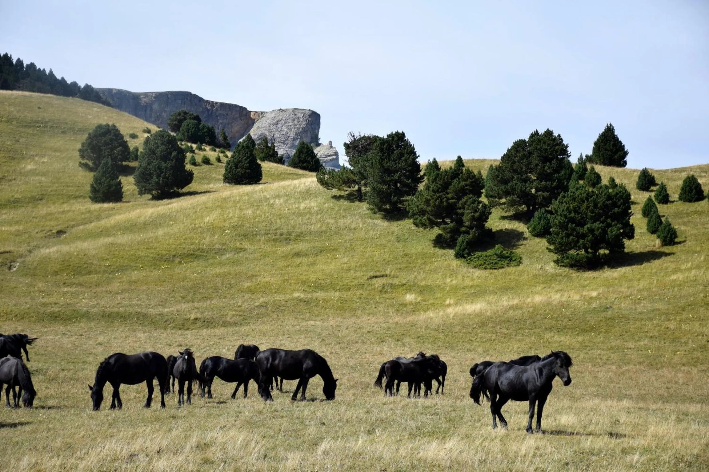 Natural landscape in Le Sareymond