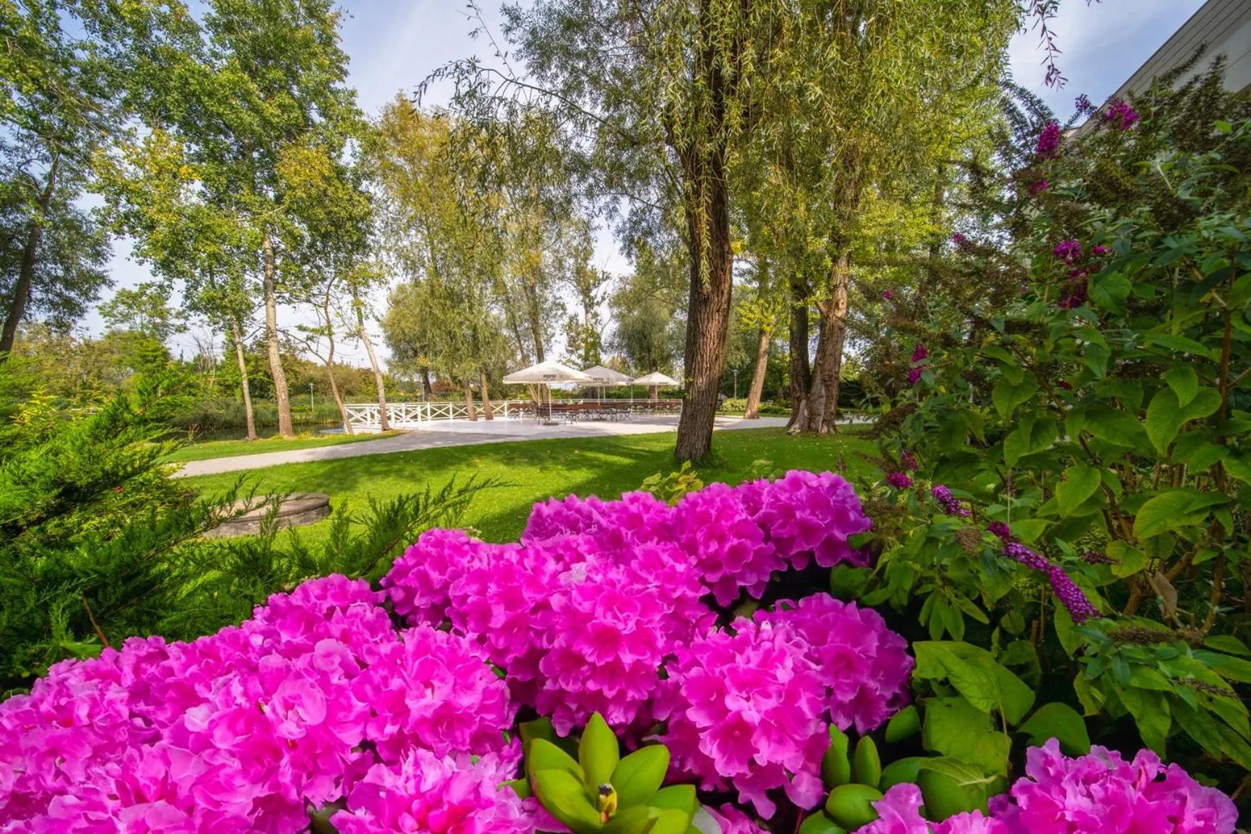 Garden in Green Garden Hotel