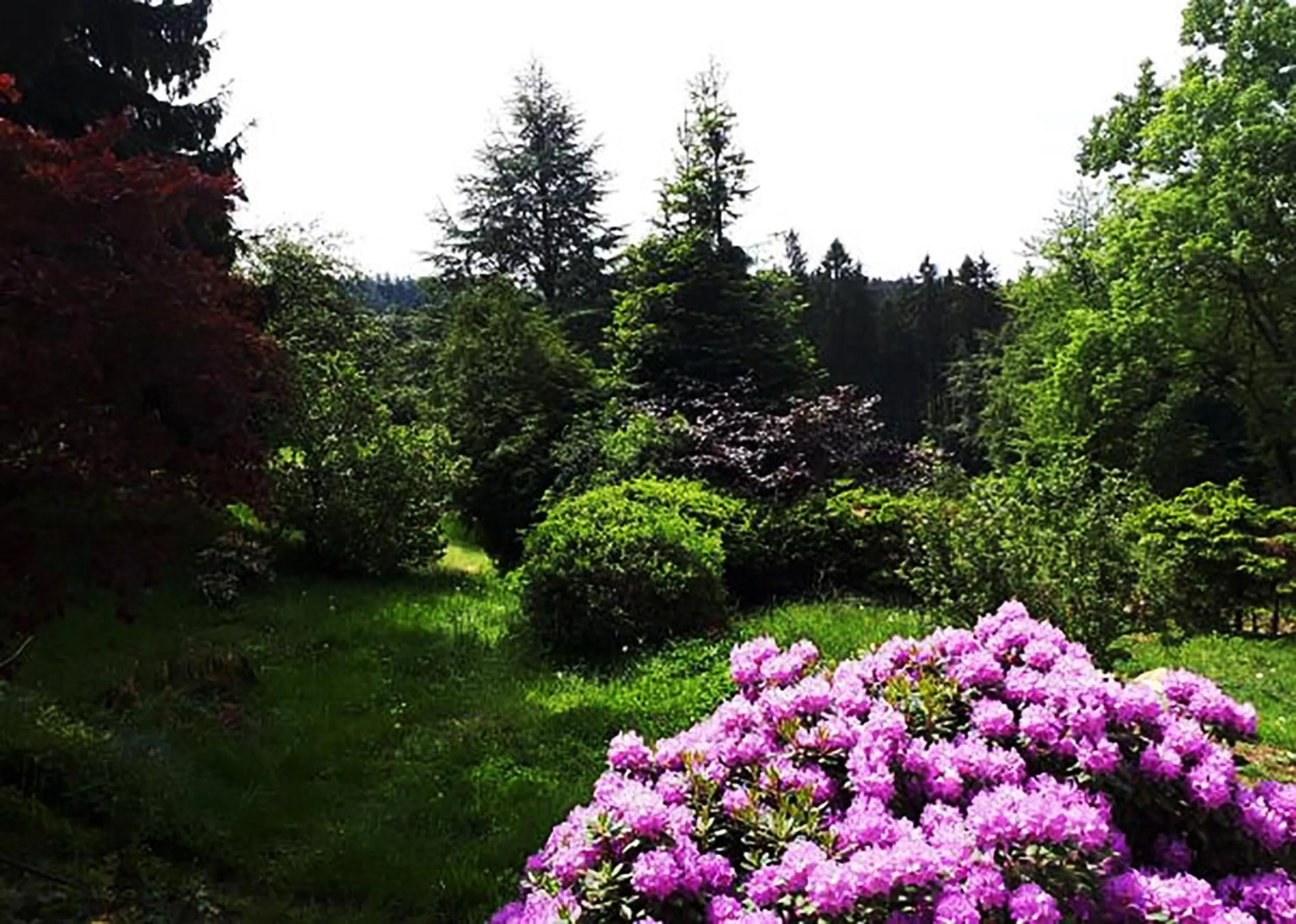 Garden view in Green Corner Nürburg
