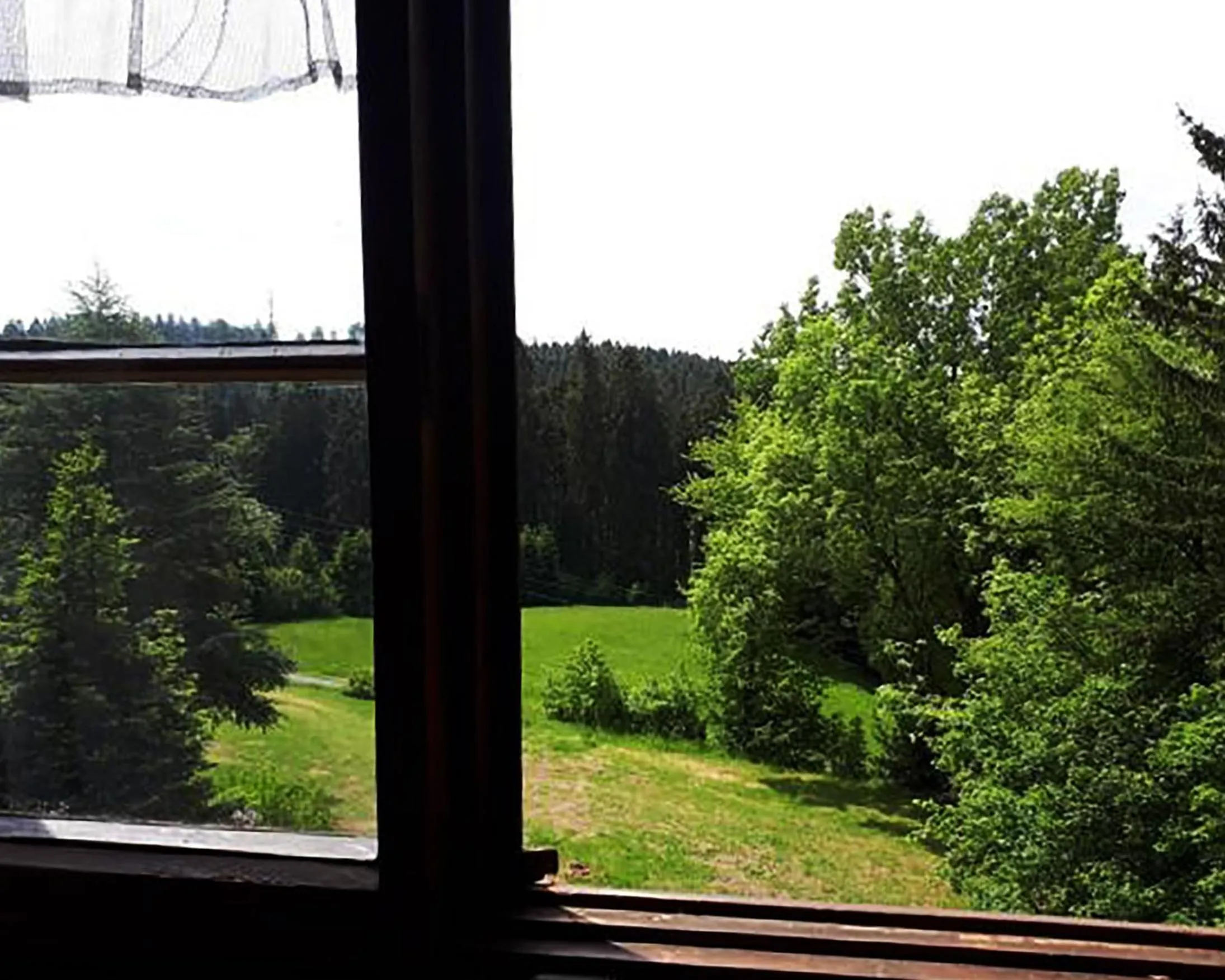 Garden in Green Corner Nürburg