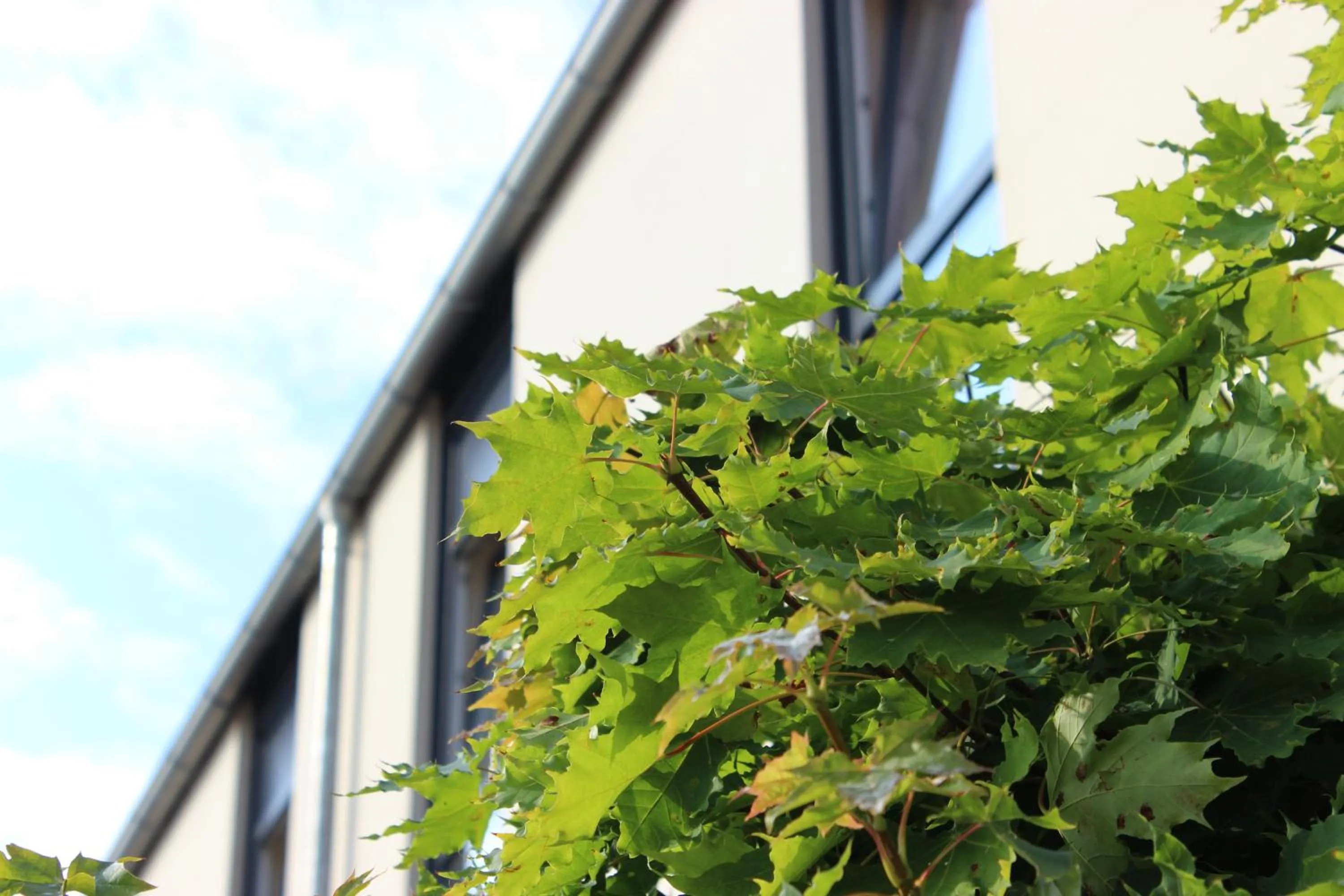 Facade/entrance in Arena Hotel