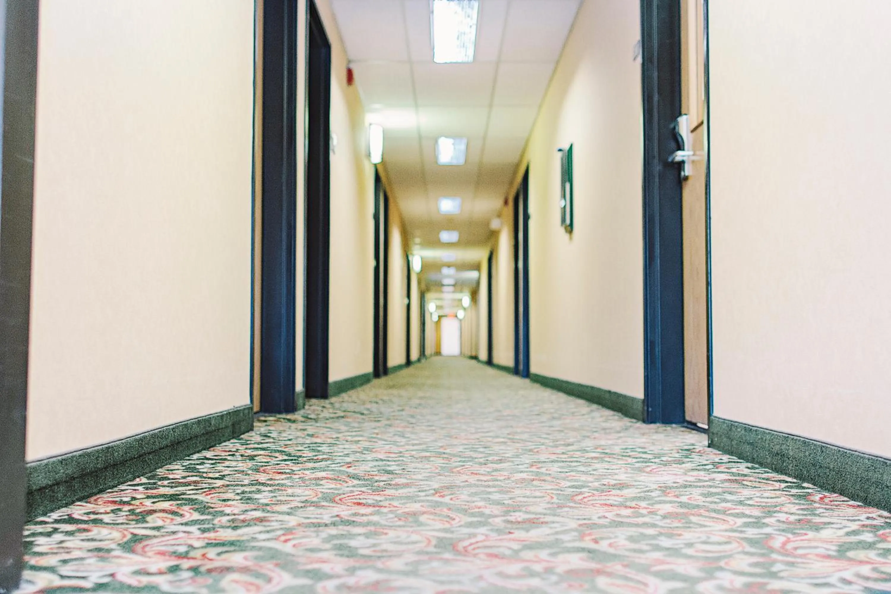 Other in Lavissh inn and Suites