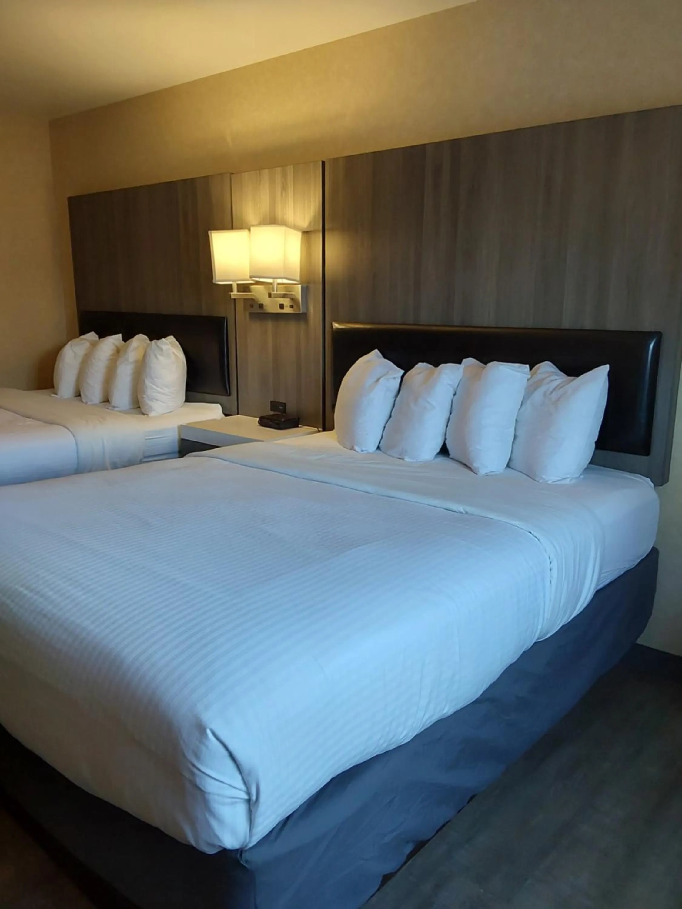 Bedroom, Bed in Lavissh inn and Suites