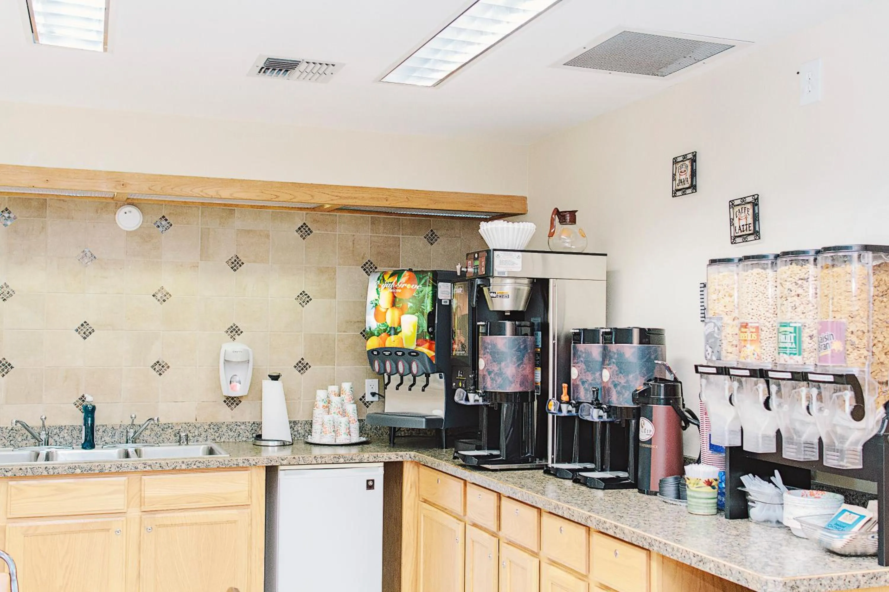 Kitchen or kitchenette in Lavissh inn and Suites