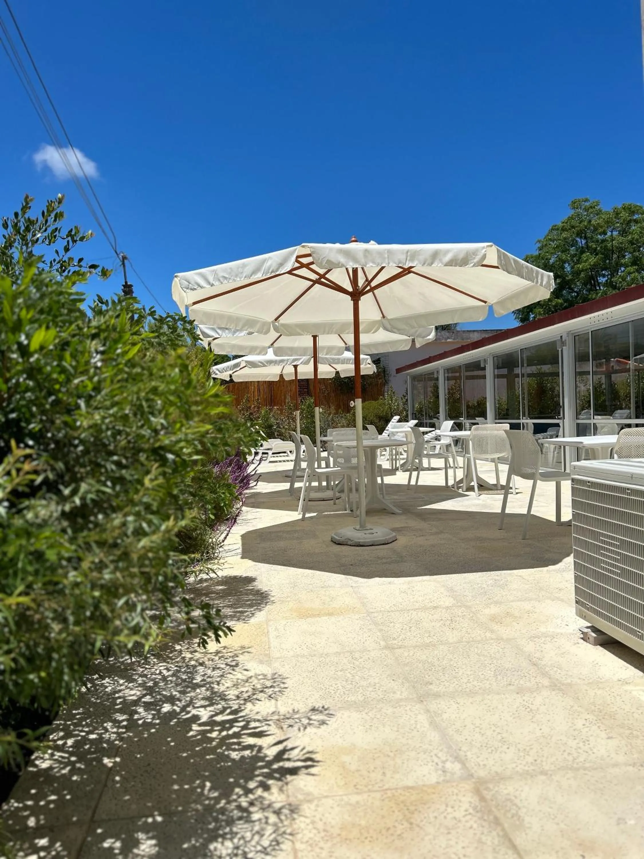 Solarium in Hotel Tamariz