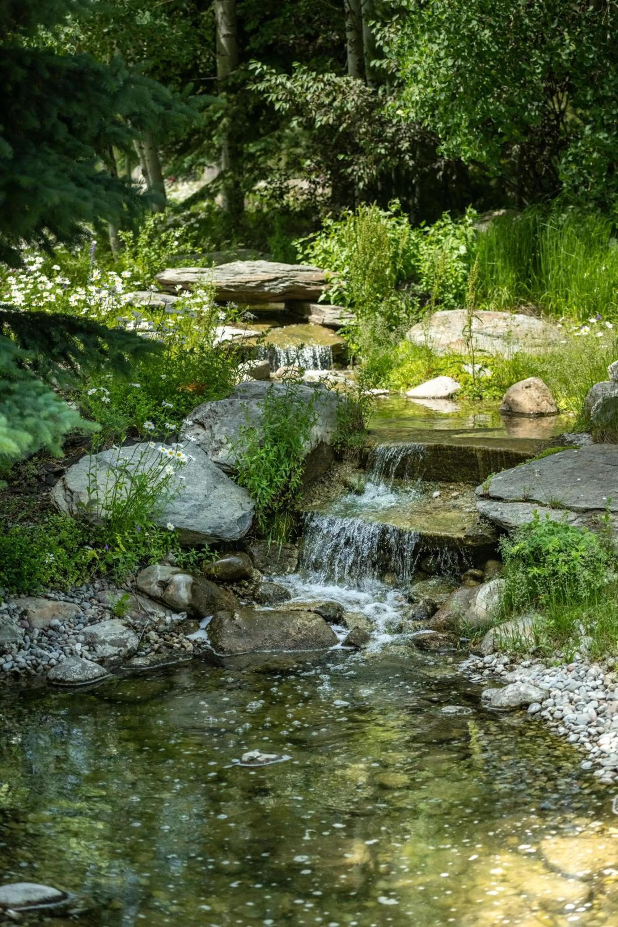 Natural landscape in Flying Saddle Resort and Steak House
