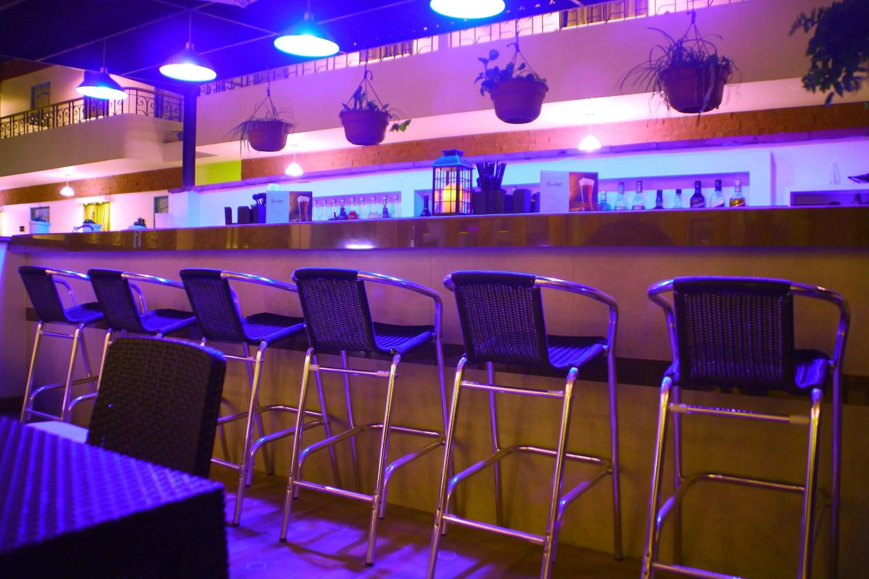 Lounge or bar in Hotel Villa Jazmin