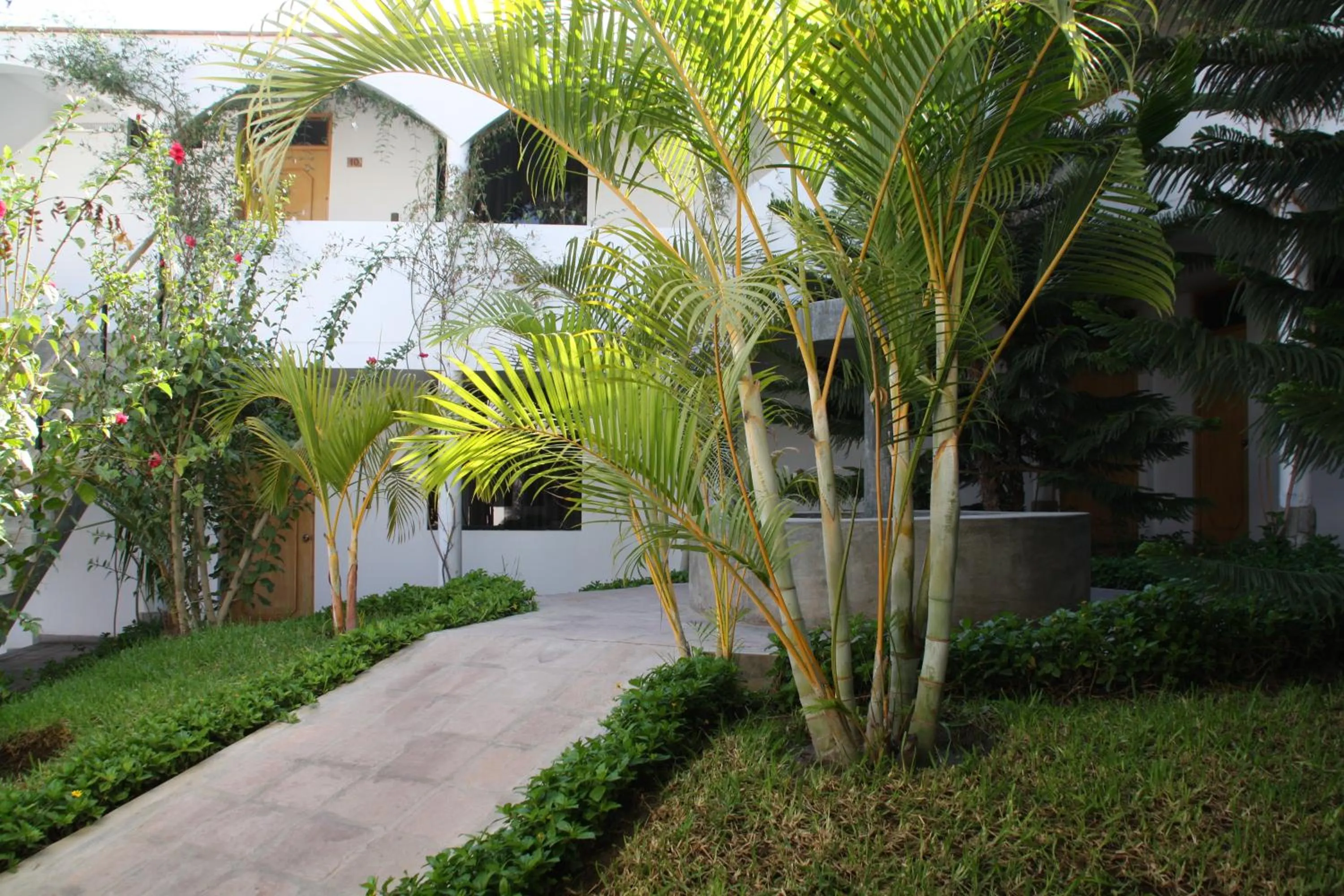 Garden in Hotel Villa Jazmin