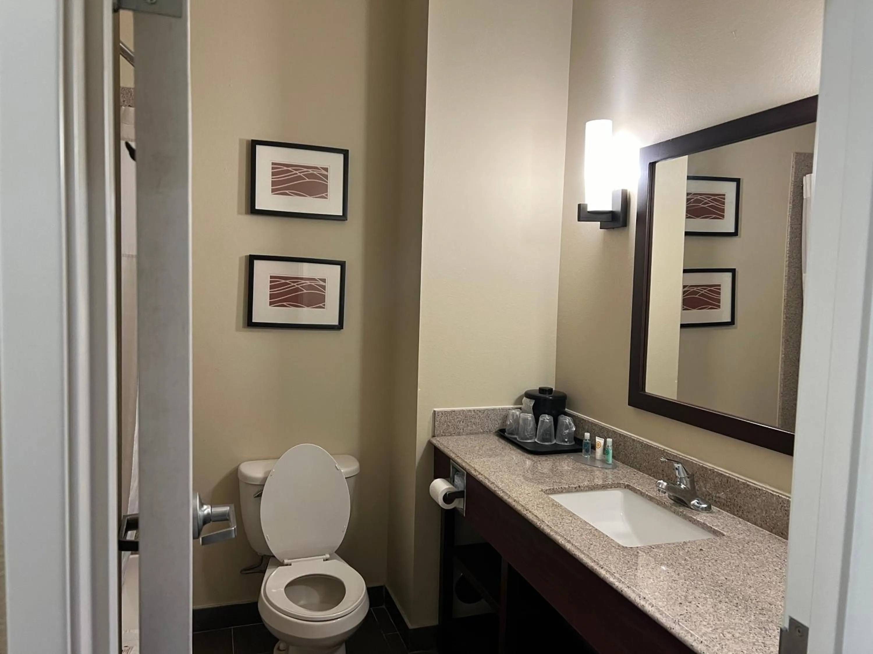 Comfort Inn and Suites Manheim