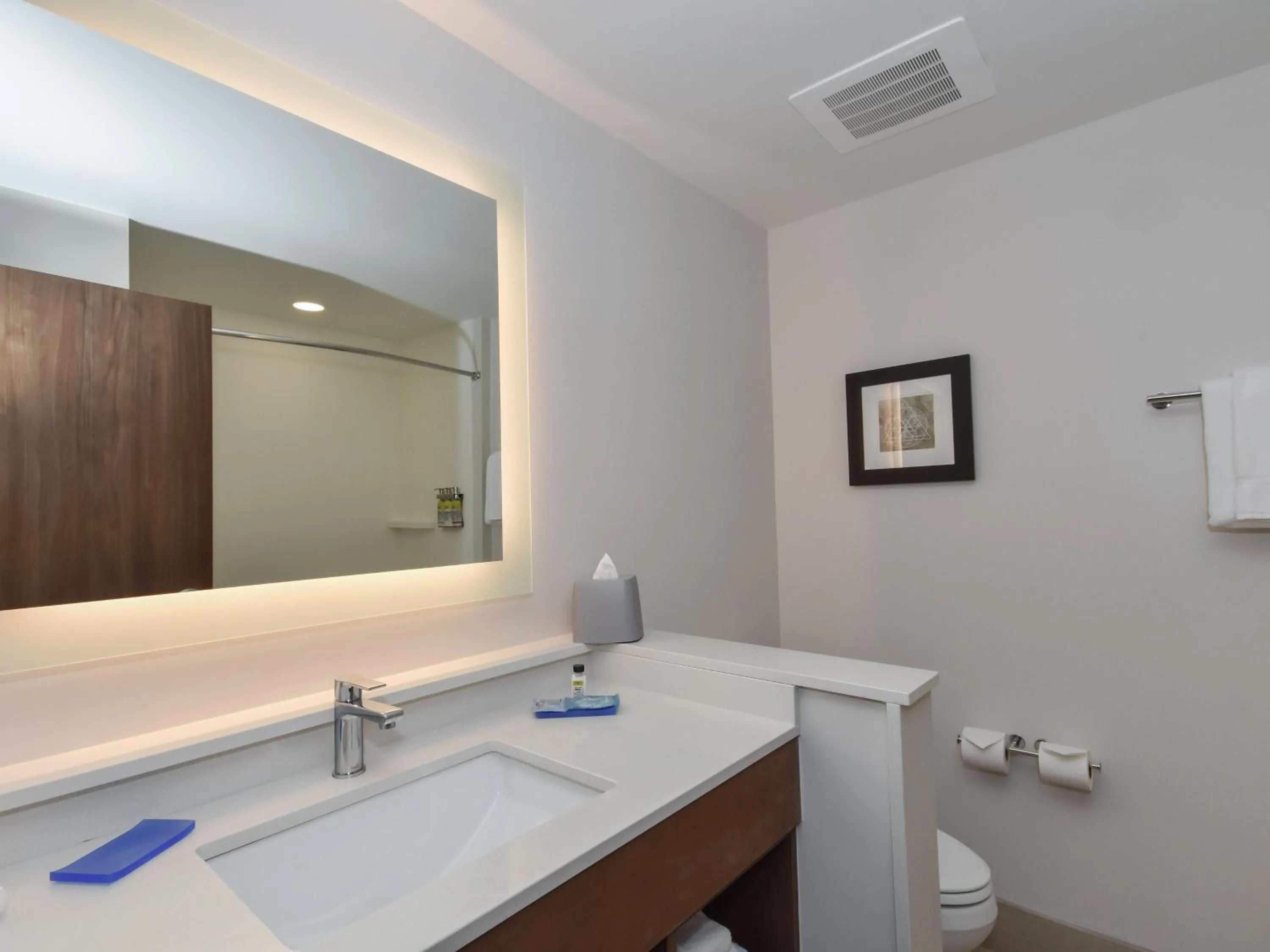 Bathroom in Holiday Inn Express & Suites Charlotte - Ballantyne by IHG