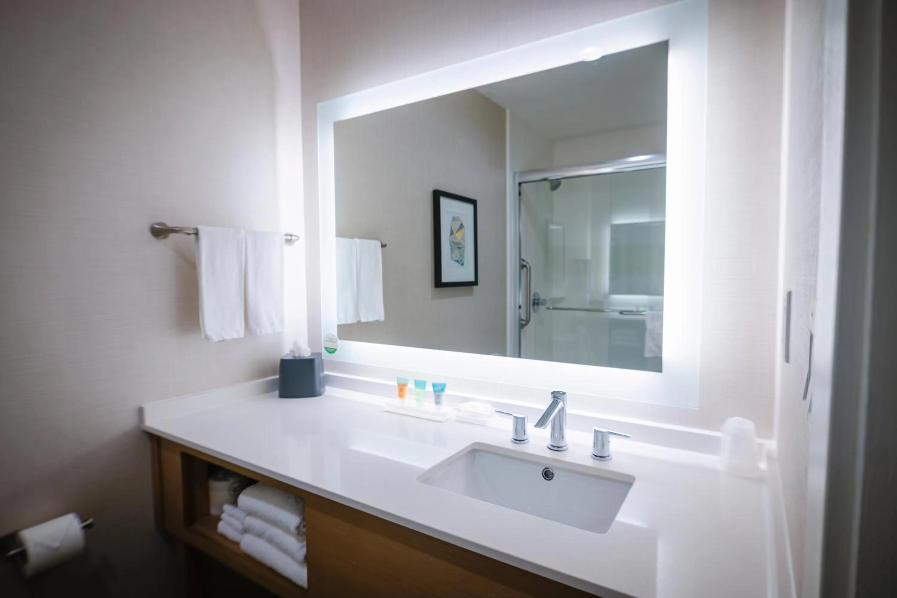 Bathroom in Holiday Inn & Suites Houston NW - Willowbrook by IHG