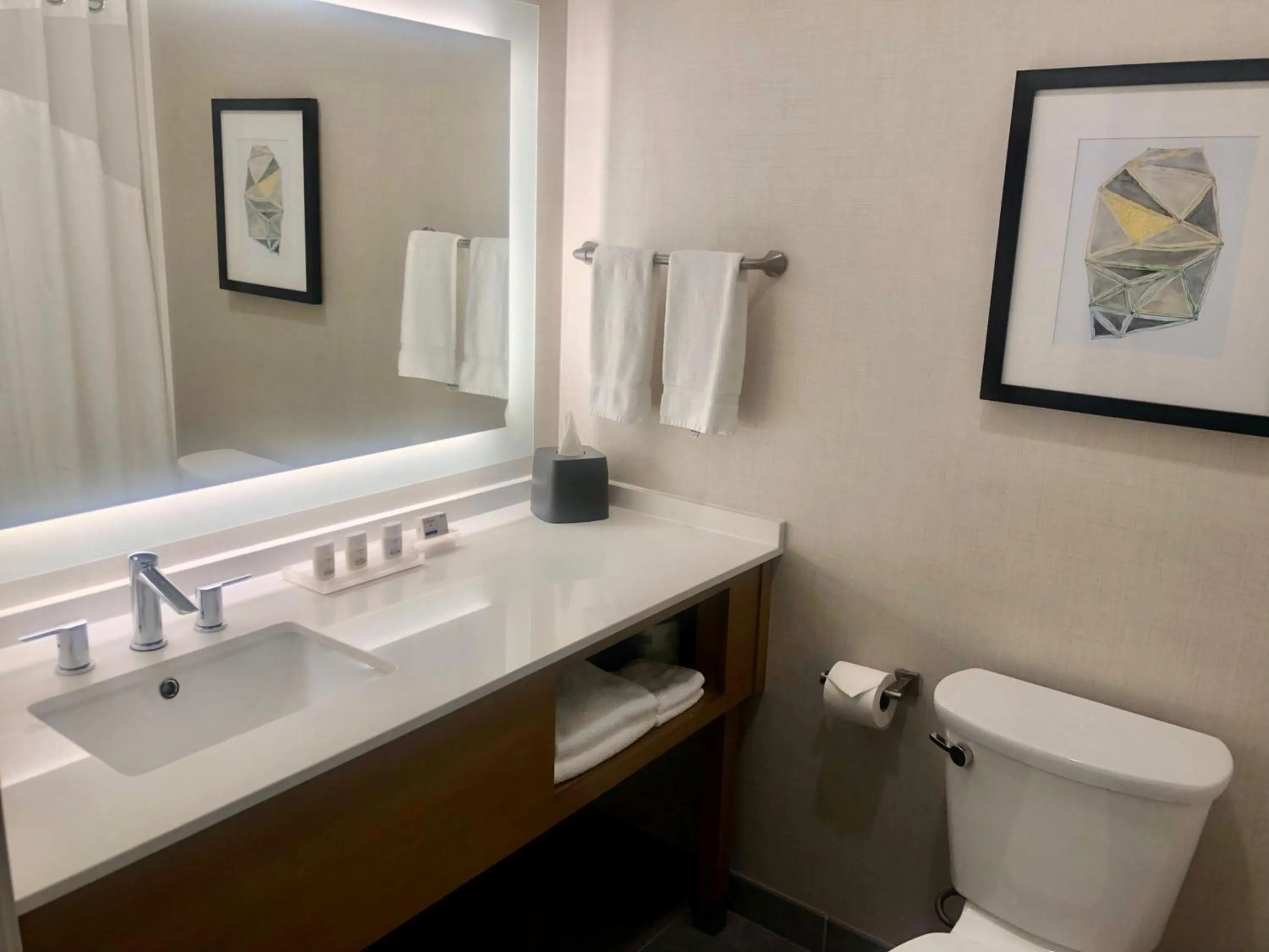 Bathroom in Holiday Inn & Suites Houston NW - Willowbrook by IHG