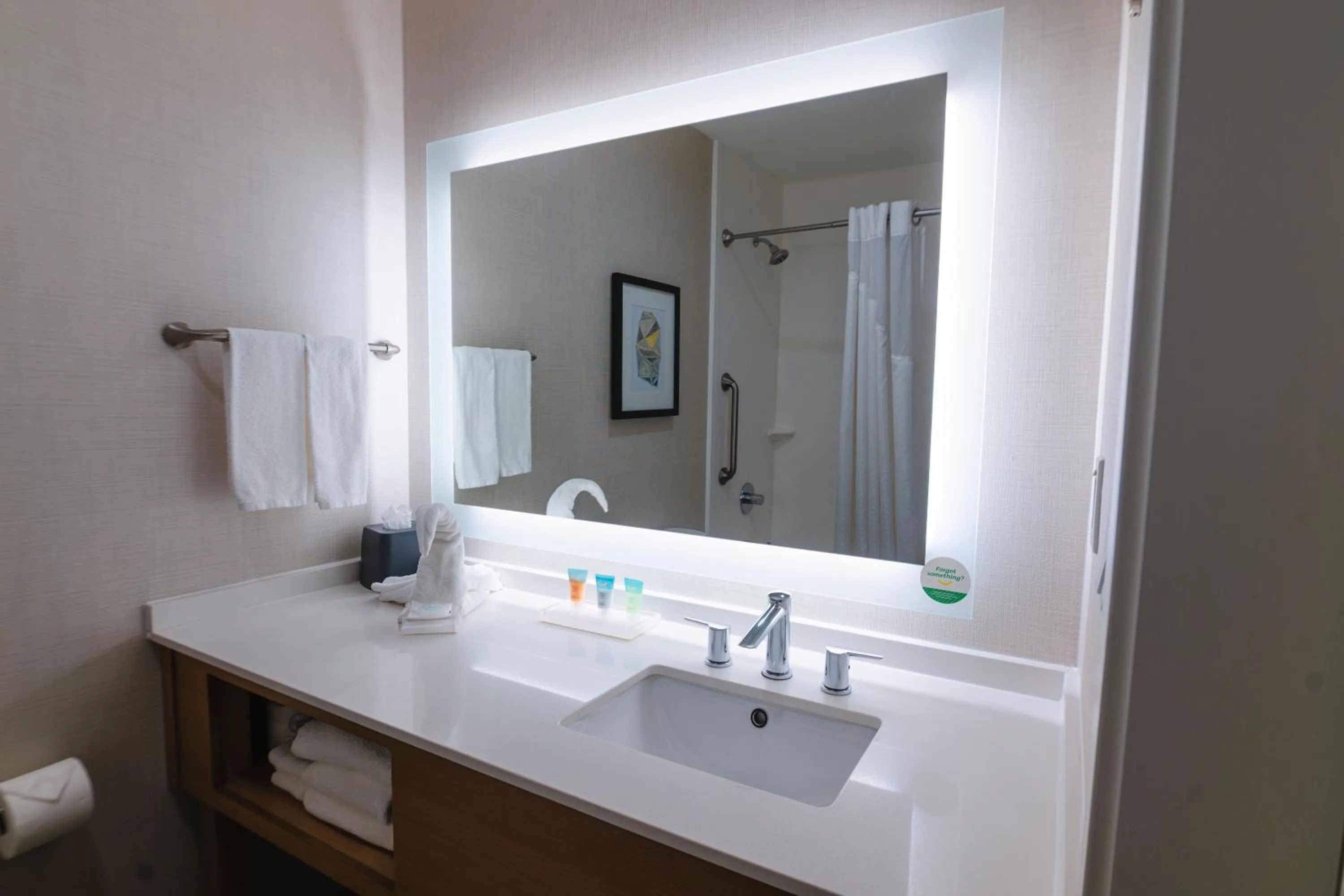 King Room with Roll-In Shower - Disability Access in Holiday Inn & Suites Houston NW - Willowbrook by IHG