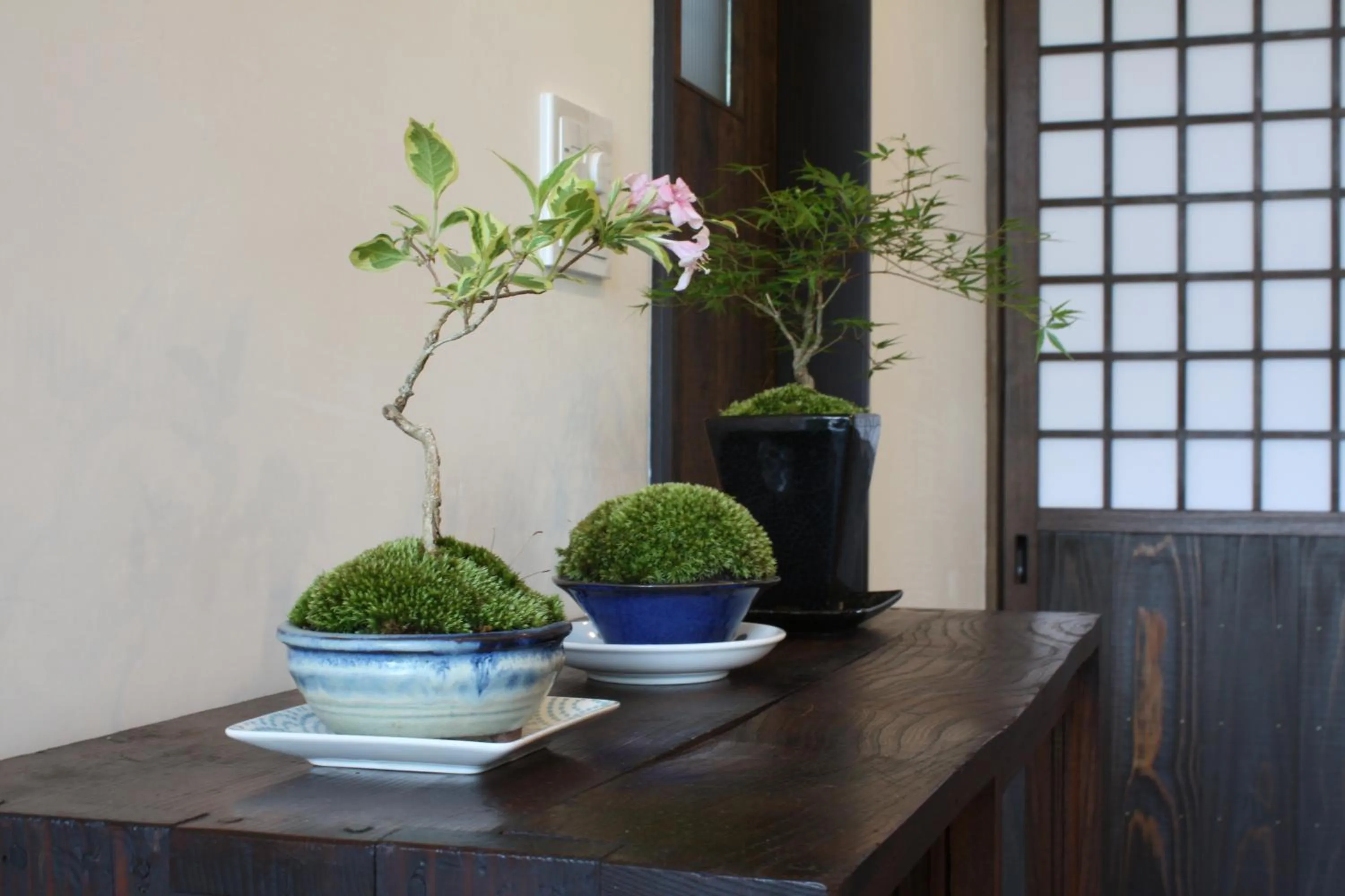 Communal lounge/ TV room in HOSTEL MICHIKUSA-YA