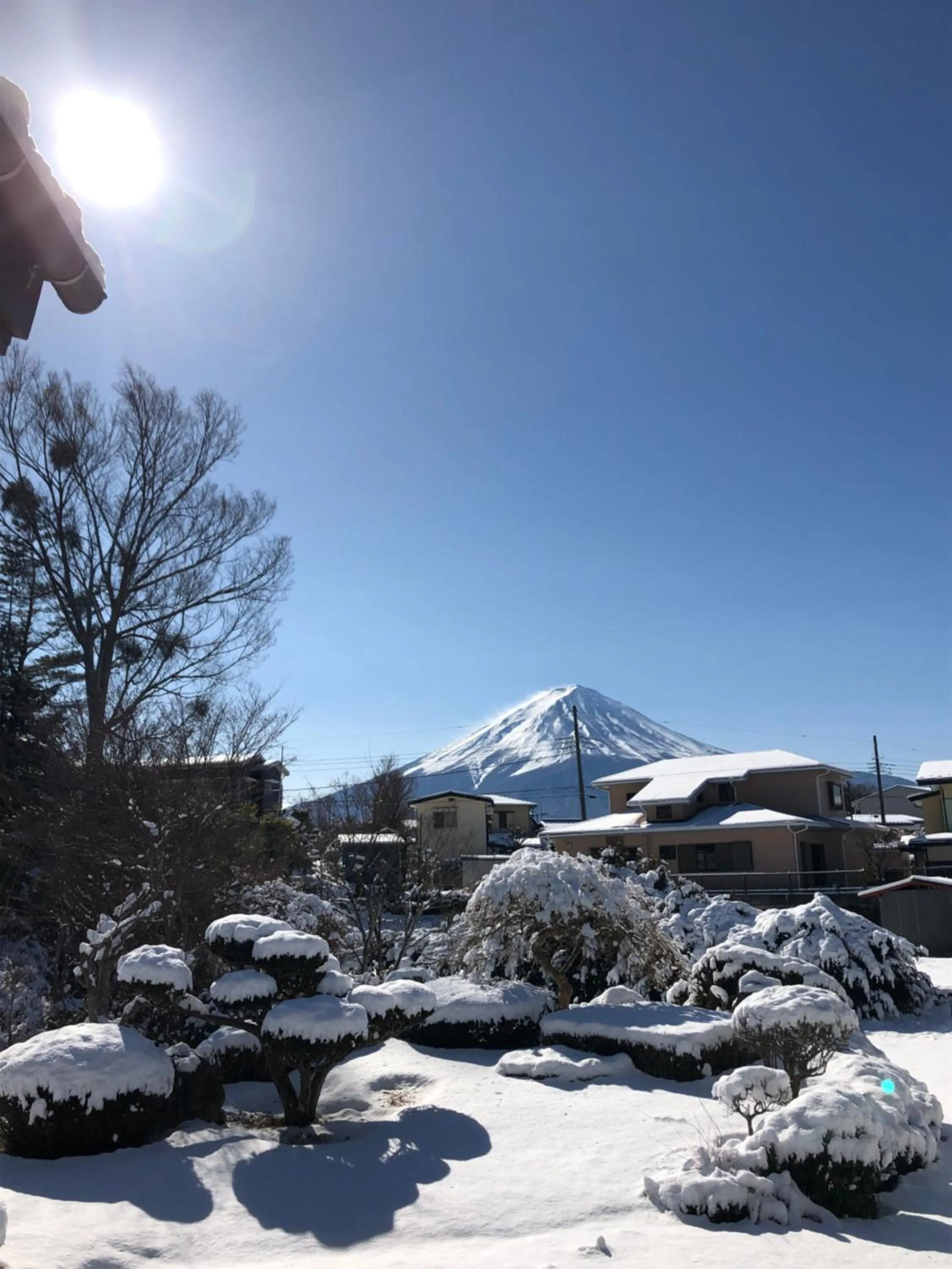 Winter in HOSTEL MICHIKUSA-YA