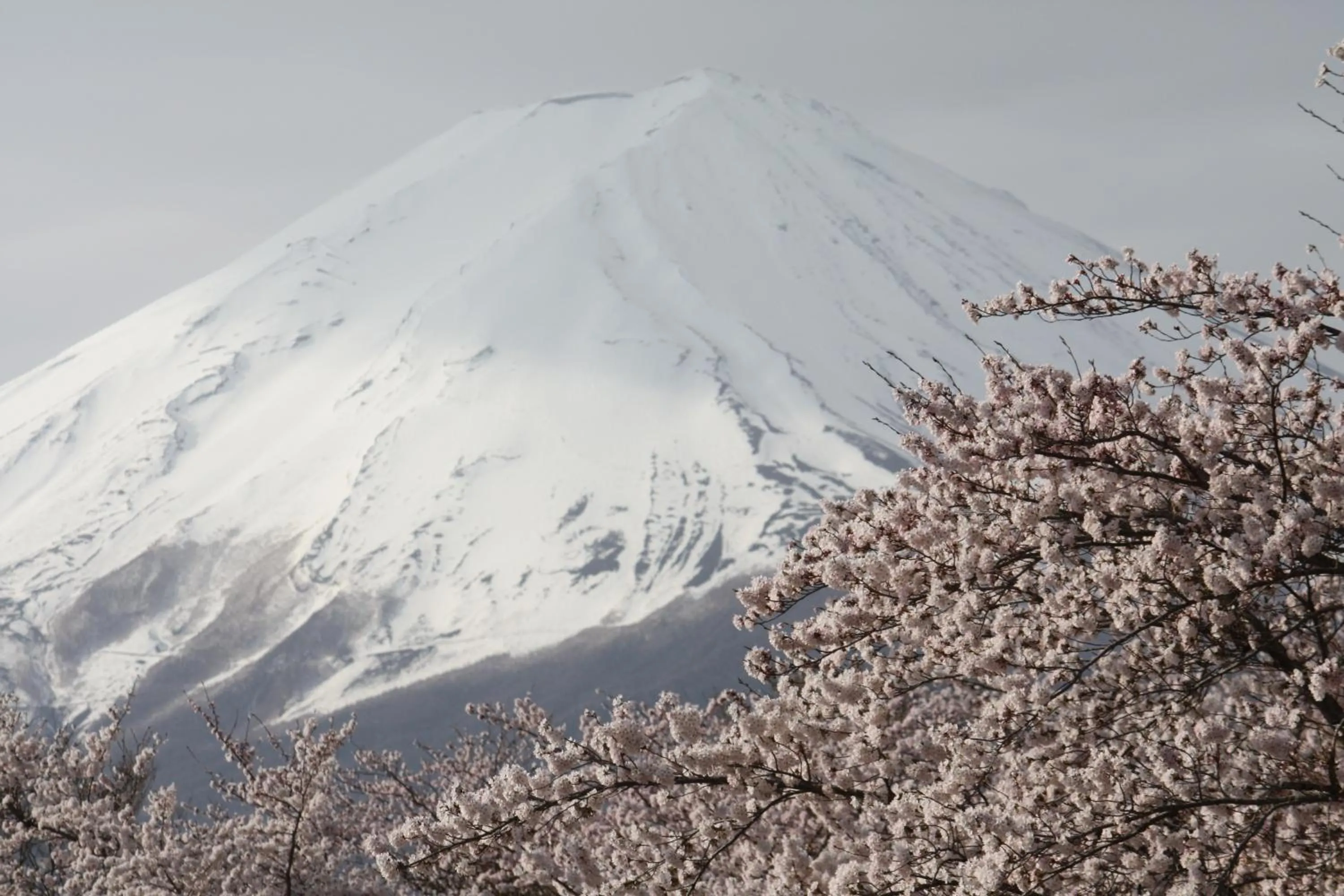 Nearby landmark in HOSTEL MICHIKUSA-YA