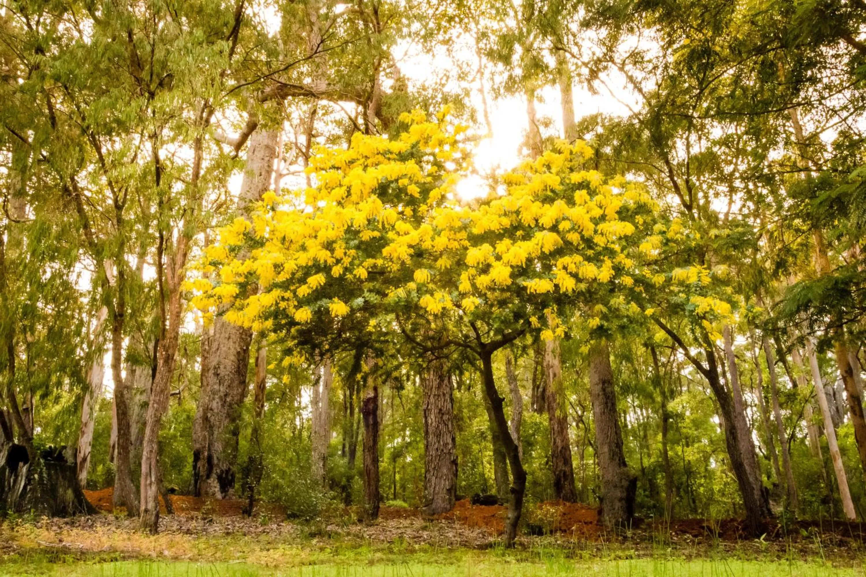 Spring in Riverglen Chalets
