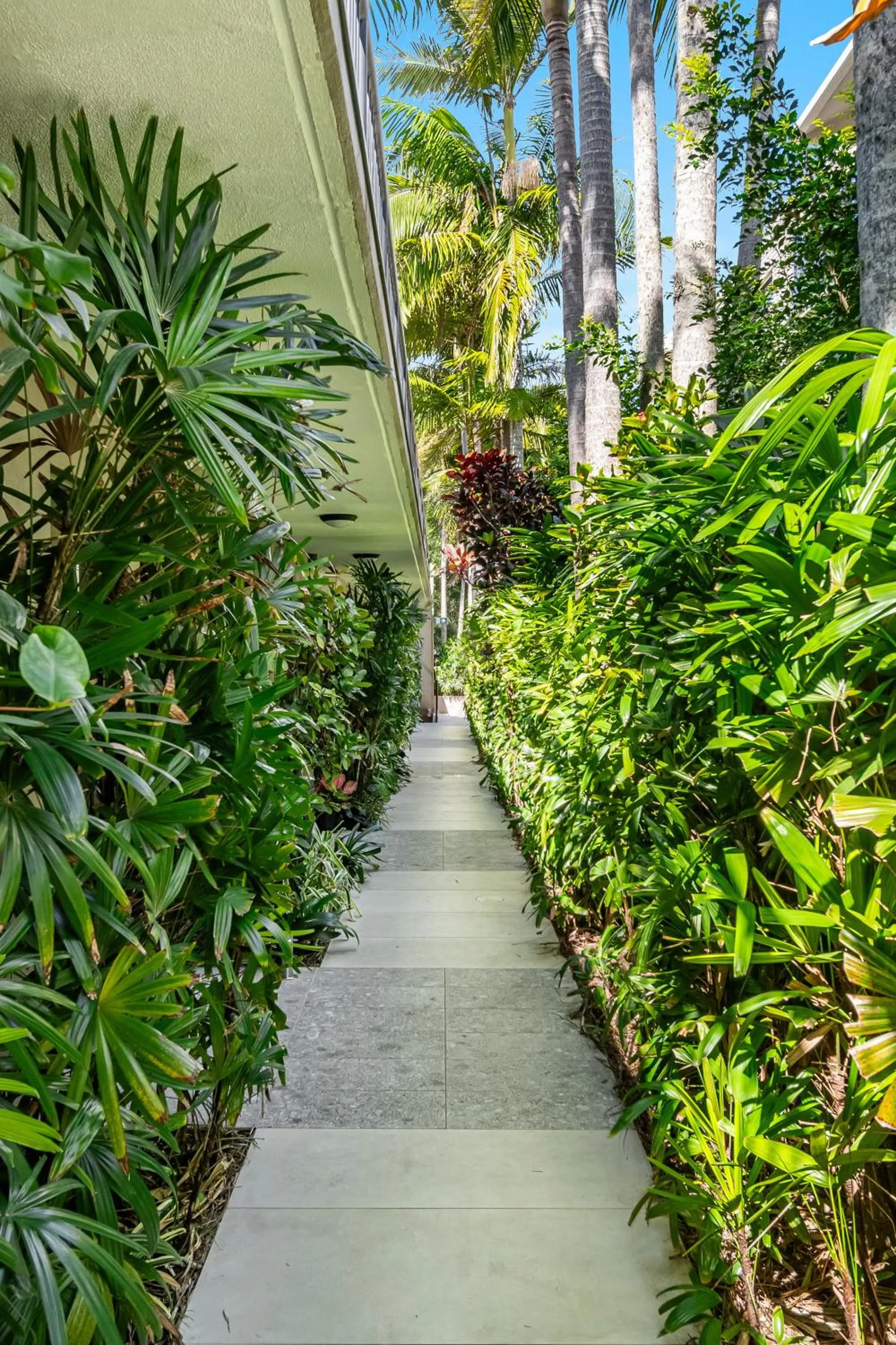Garden in Julians Apartments