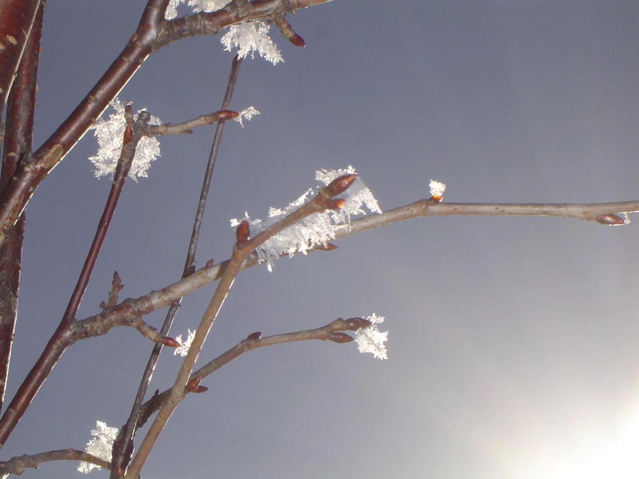 Other in Rosenheim Hakuba