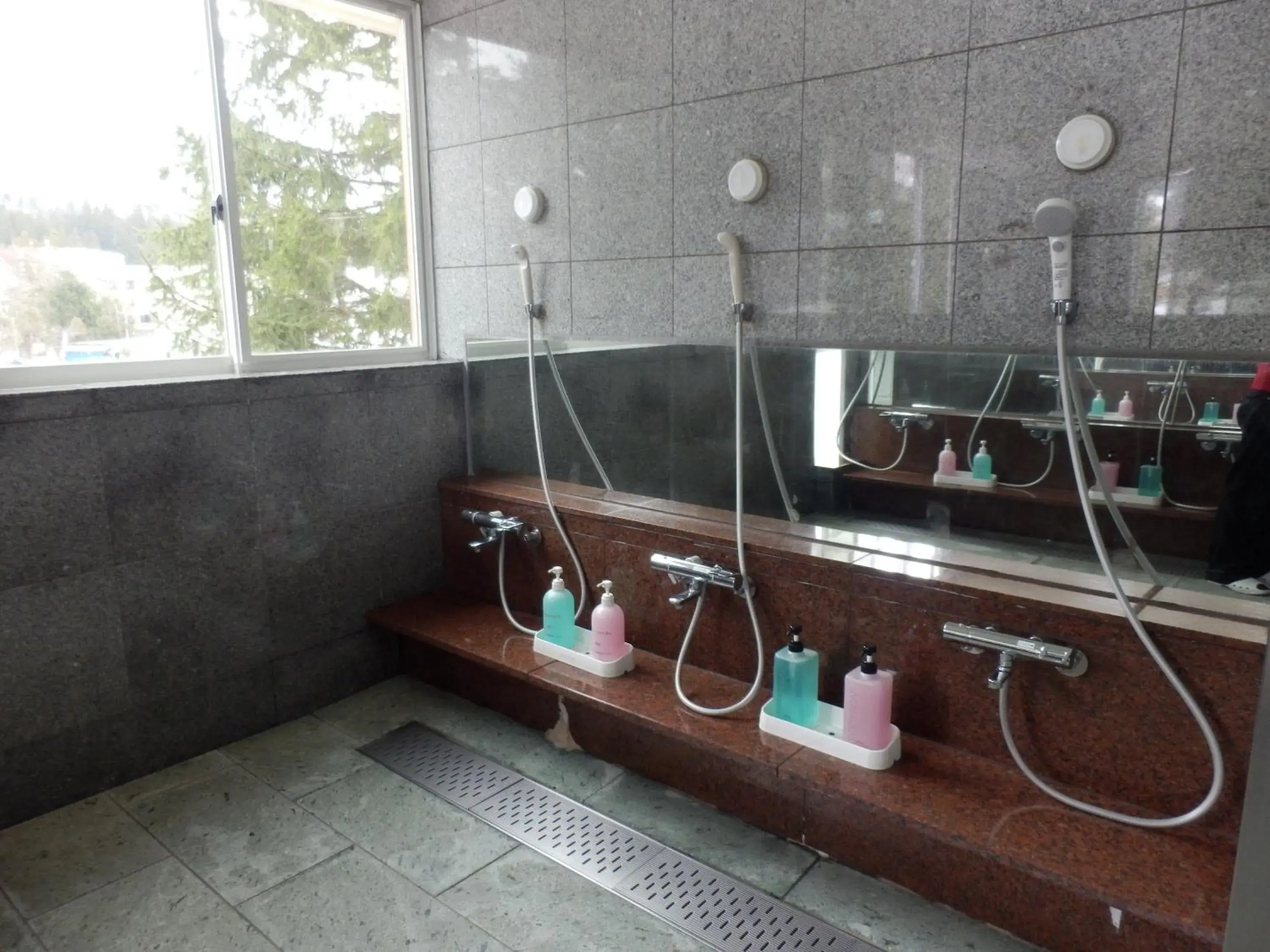 Hot Spring Bath, Bathroom in Rosenheim Hakuba