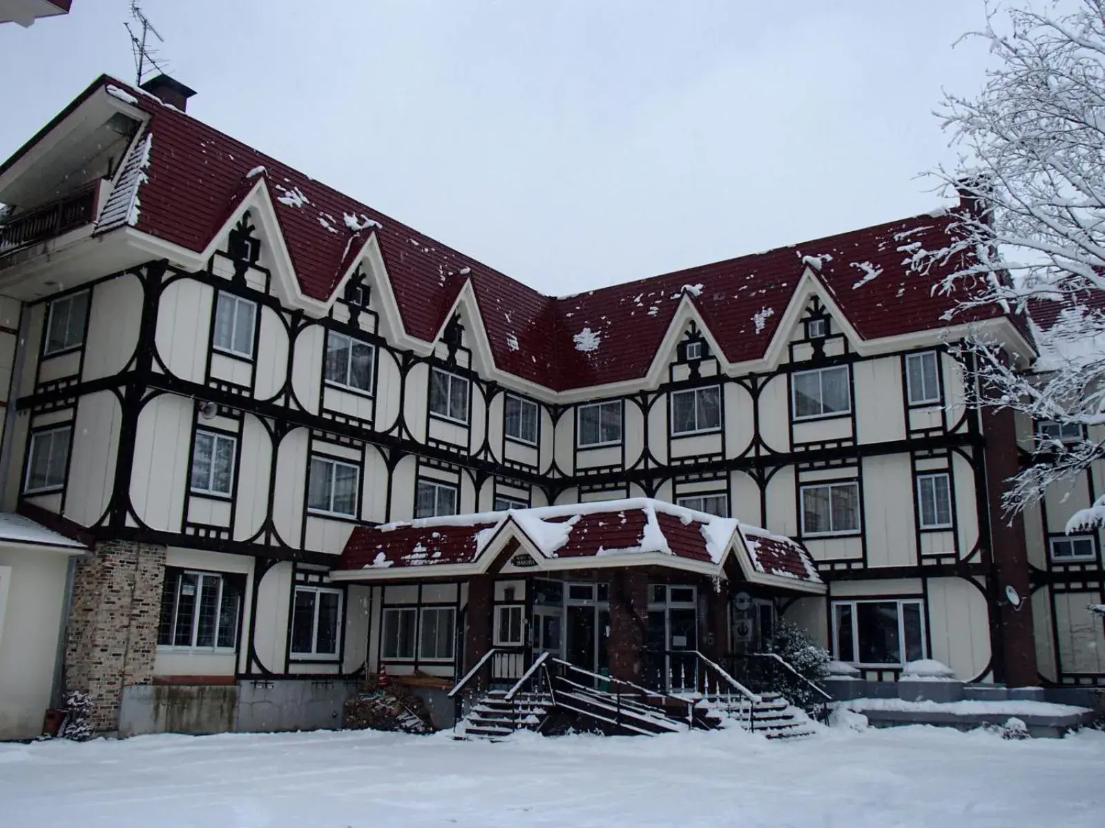 Property building, Winter in Rosenheim Hakuba