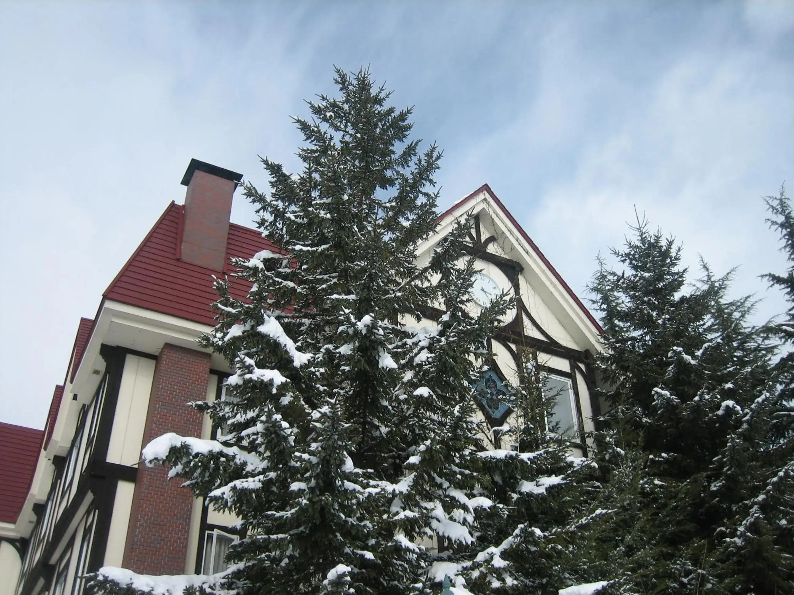 Property building, Winter in Rosenheim Hakuba
