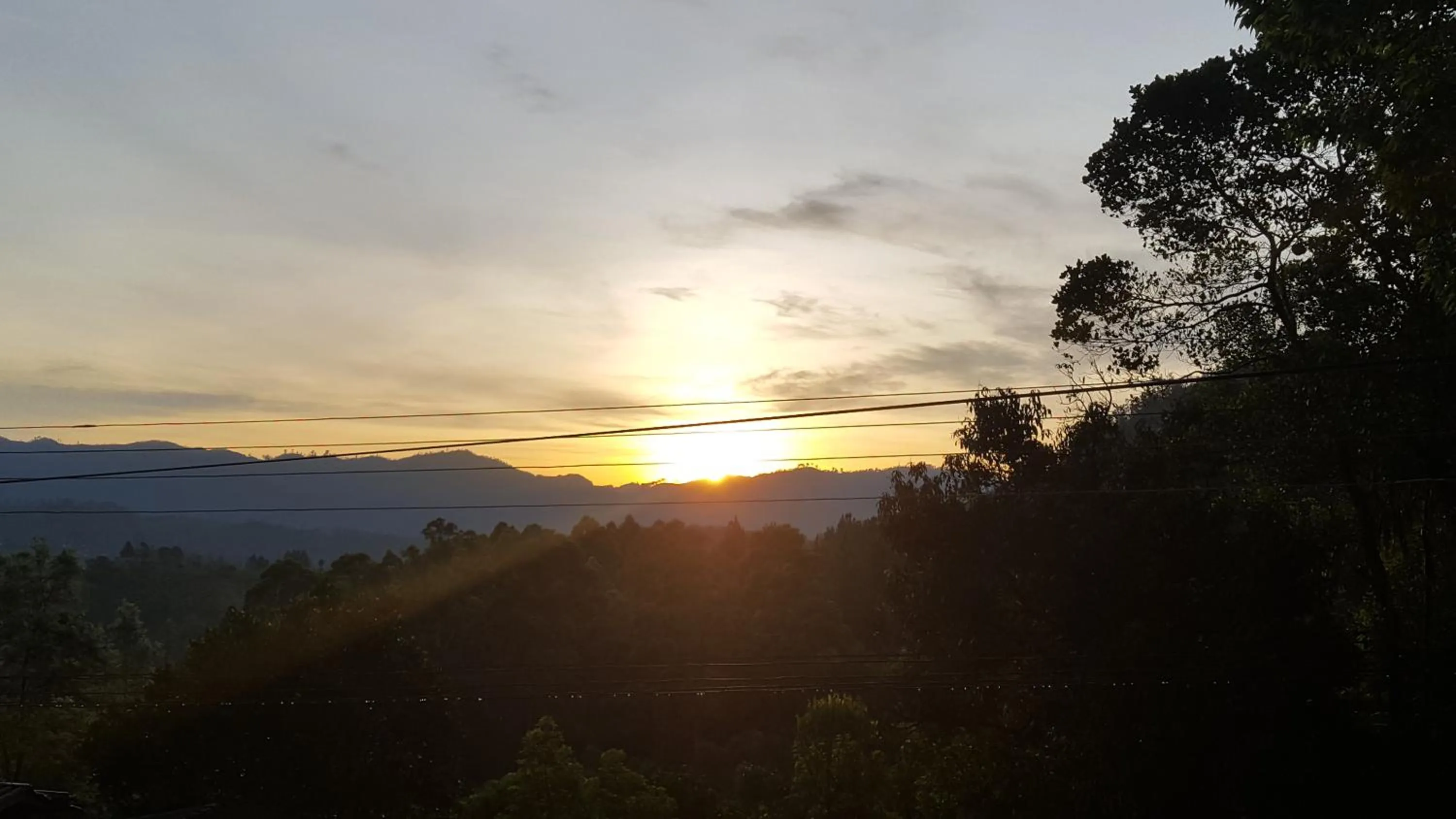 Garden in Ella Nature Life Guest & Resturant