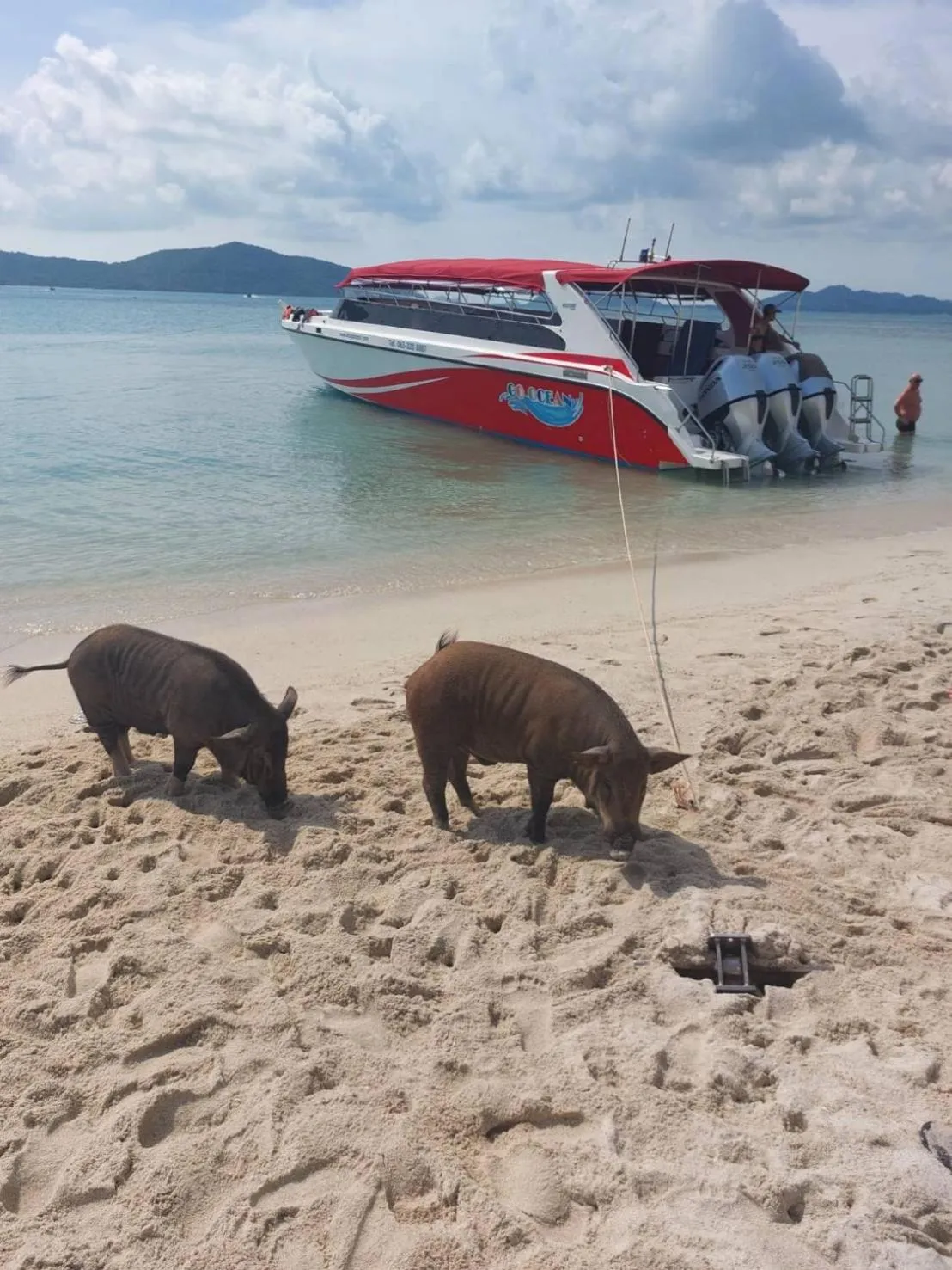 Bonny Hotel 4 Floors No Elevator