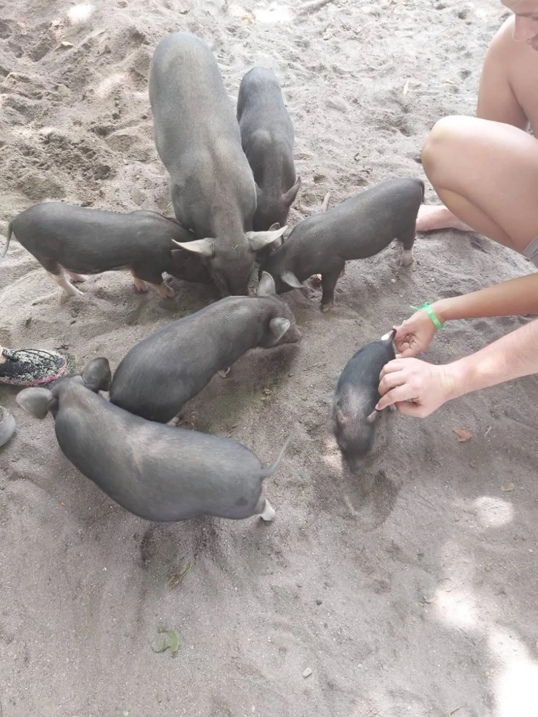 Bonny Hotel 4 Floors No Elevator