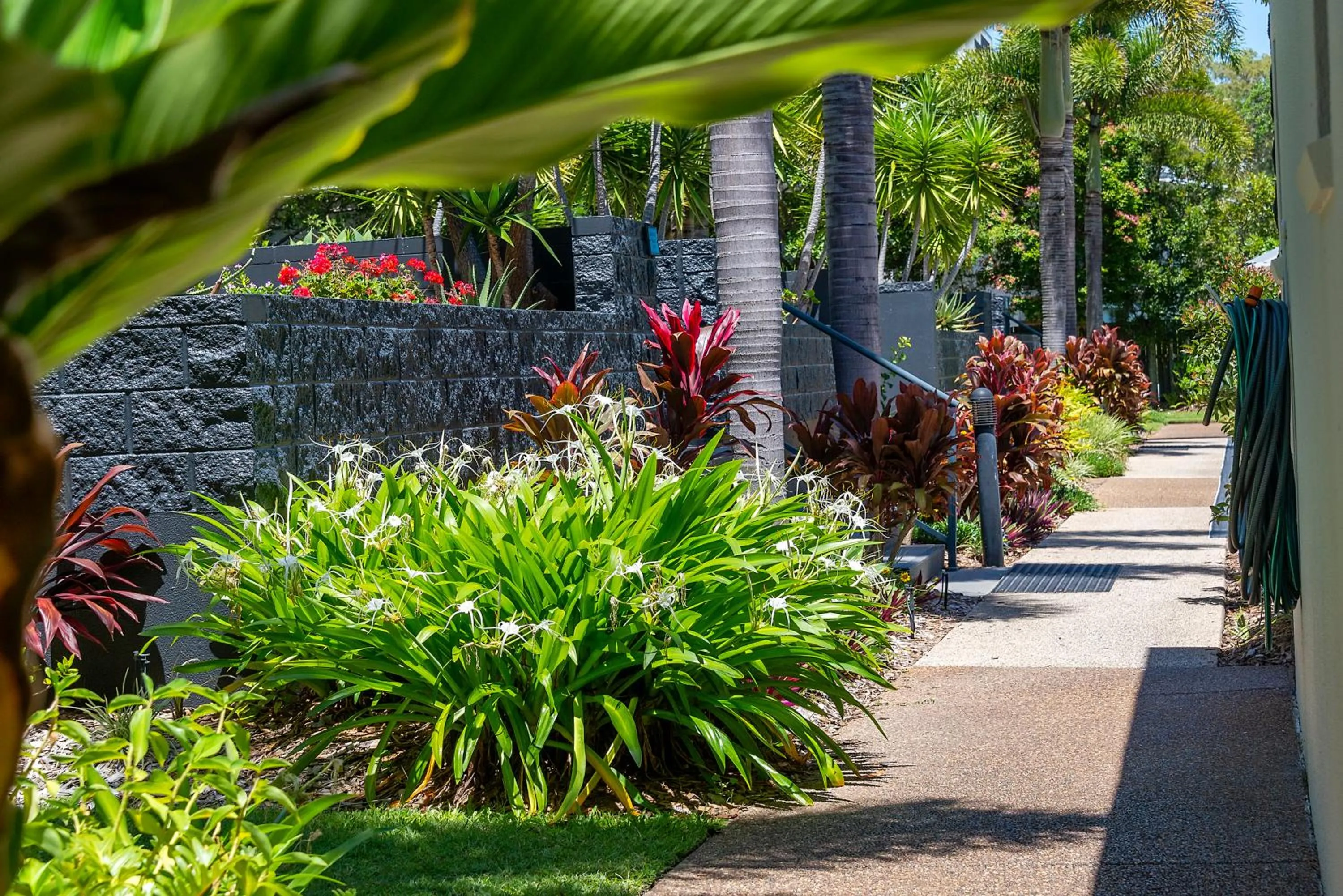 Garden in The Bay Apartments