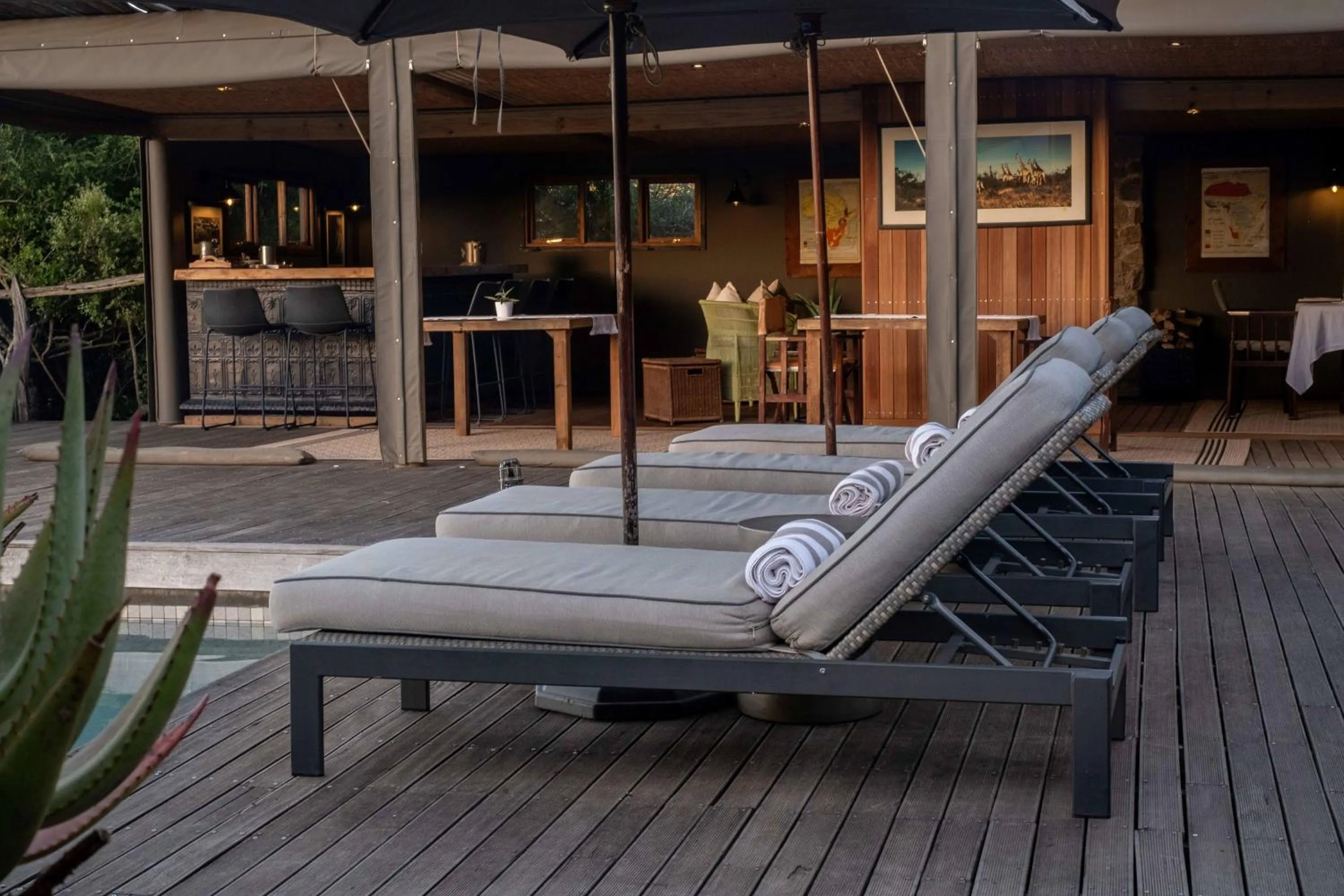 sunbed in HillsNek Safari Camp – Amakhala Game Reserve